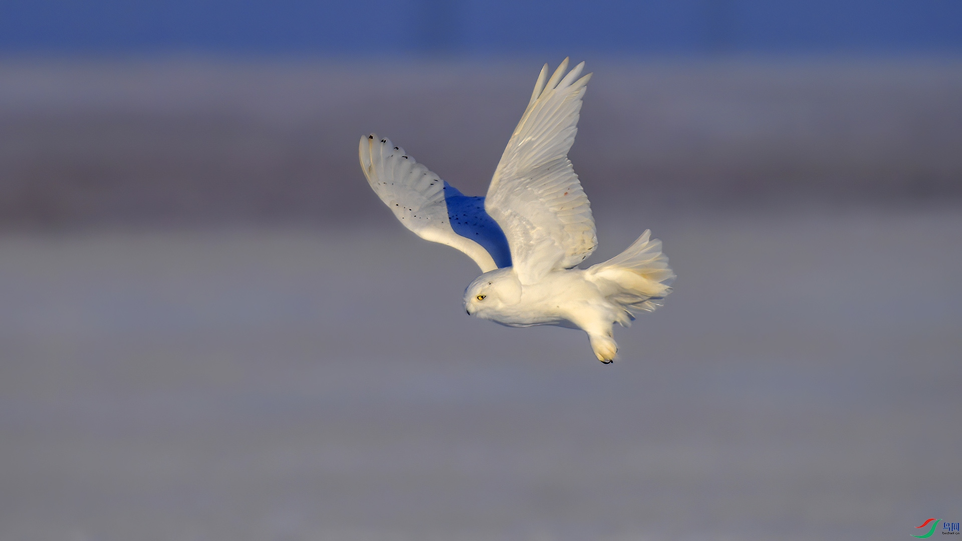DSC_90m45.jpg