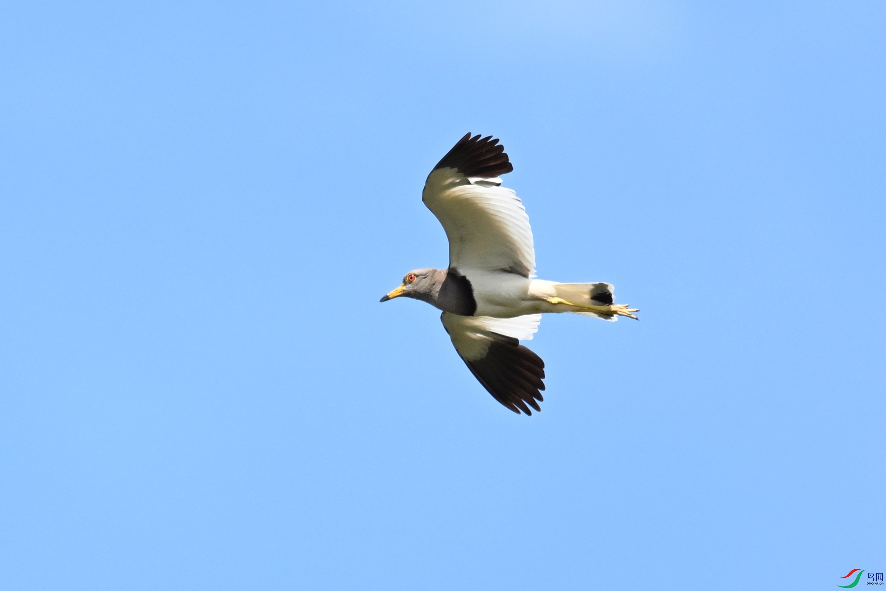 DSC_5382.JPG