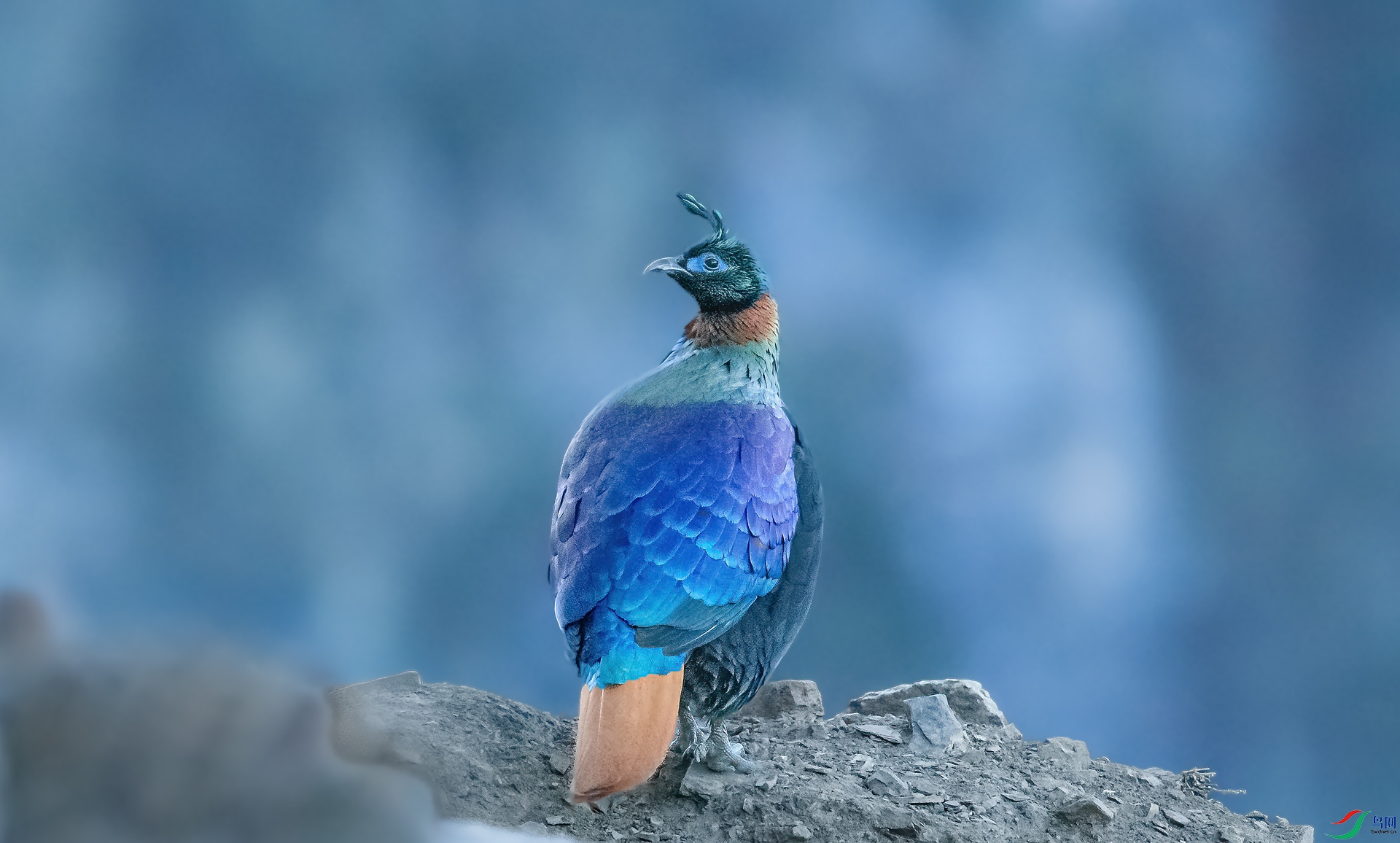 ��β����_J1R9648.jpg
