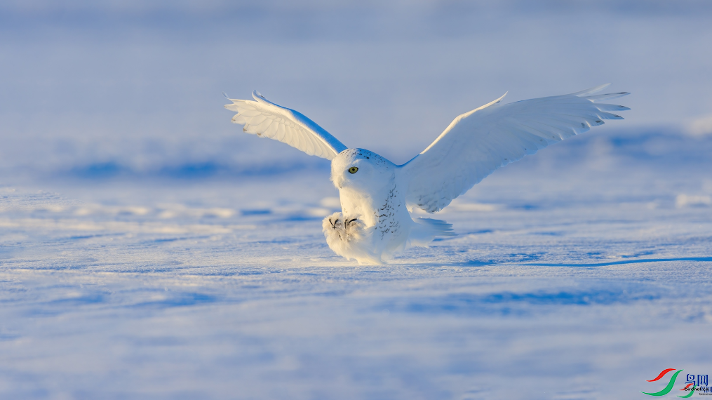 ѩ�^���ٻ���Ӱʦ��������»��ϲ 20.png