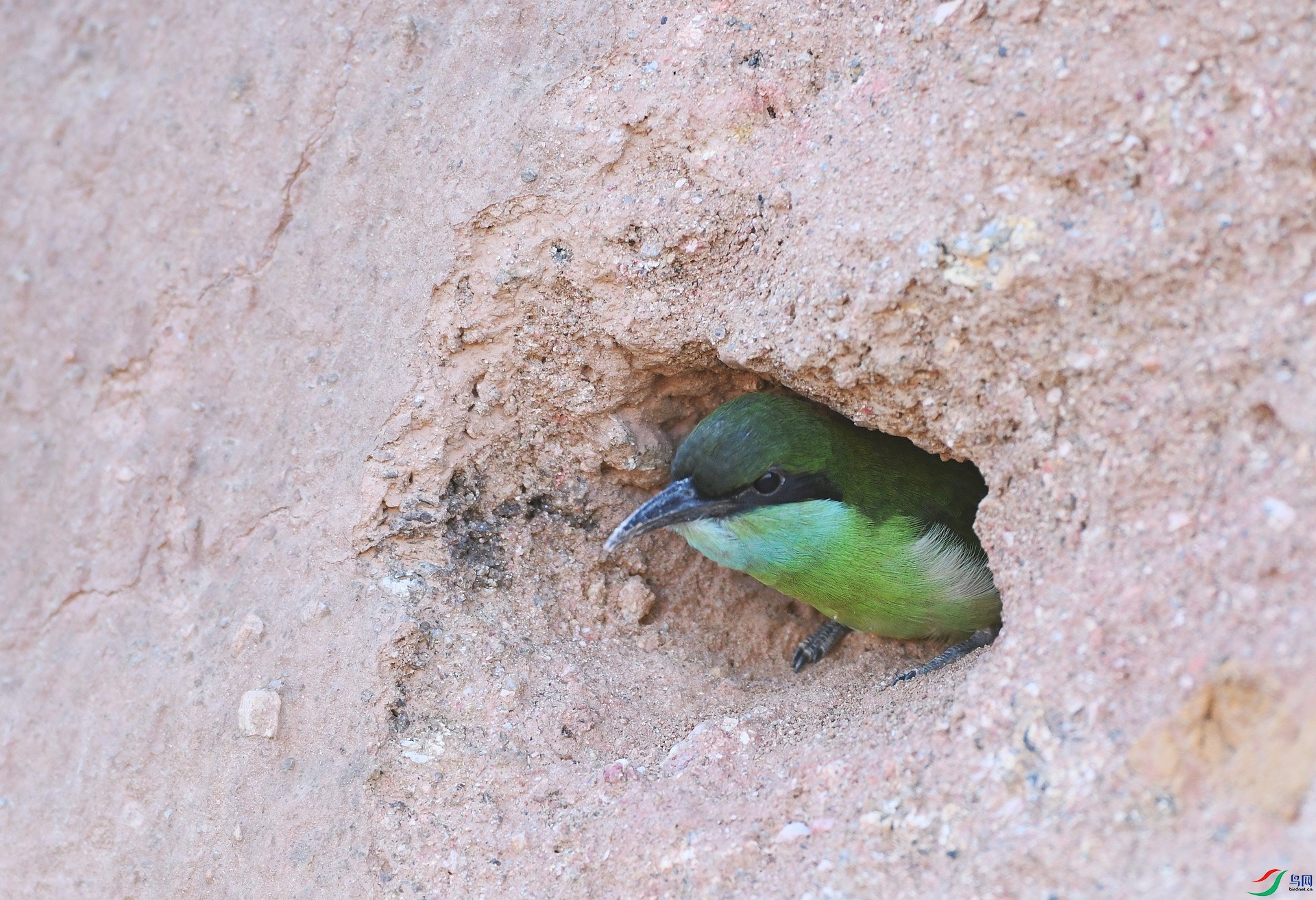DSC_0313.jpg