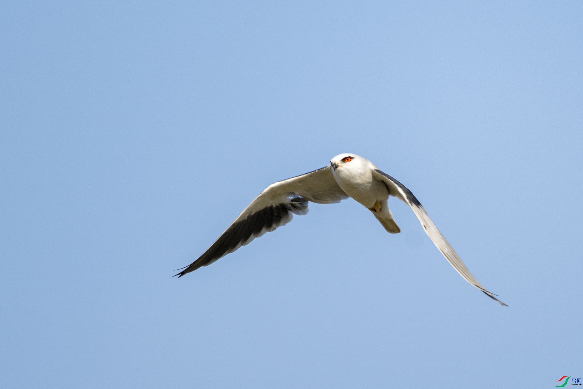 DSC_0355.jpg
