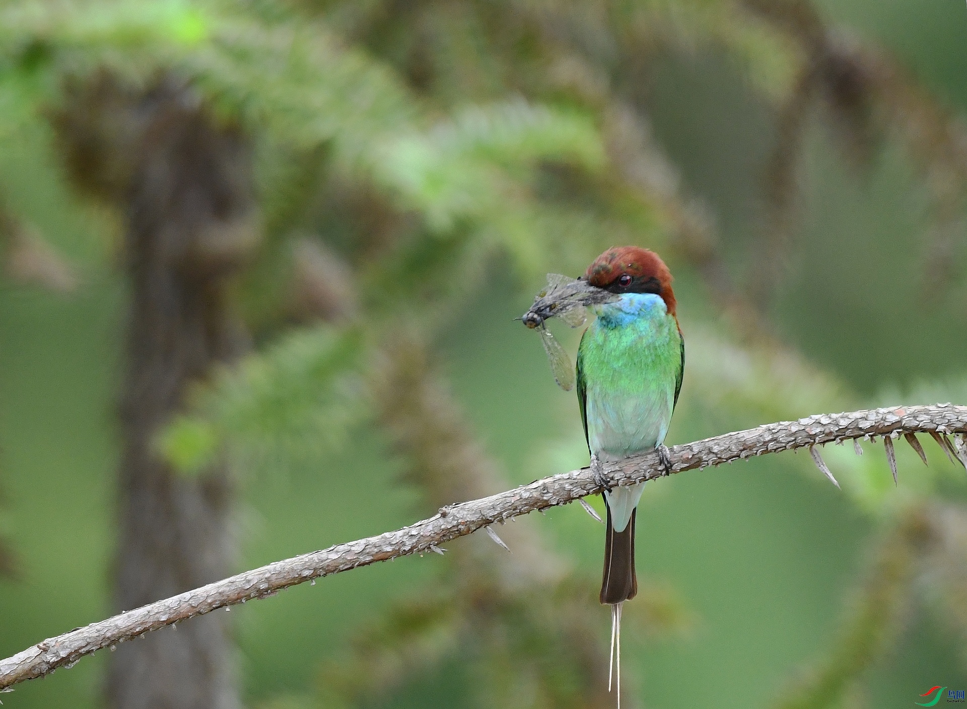 DSC_0899.jpg