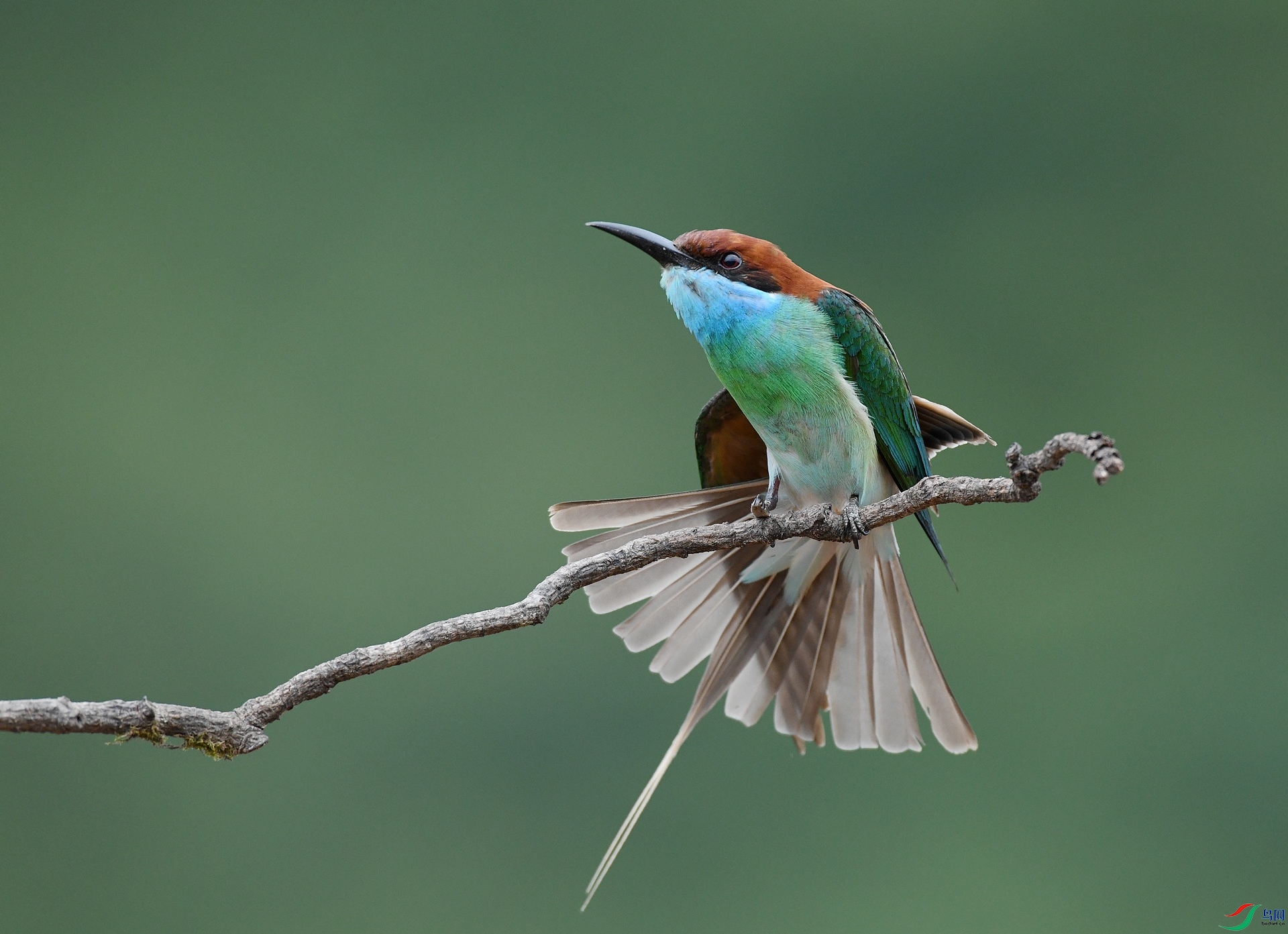 DSC_1467.jpg