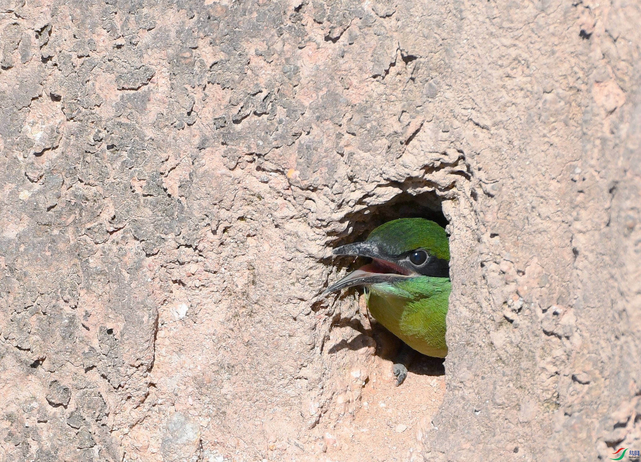 DSC_3358.jpg