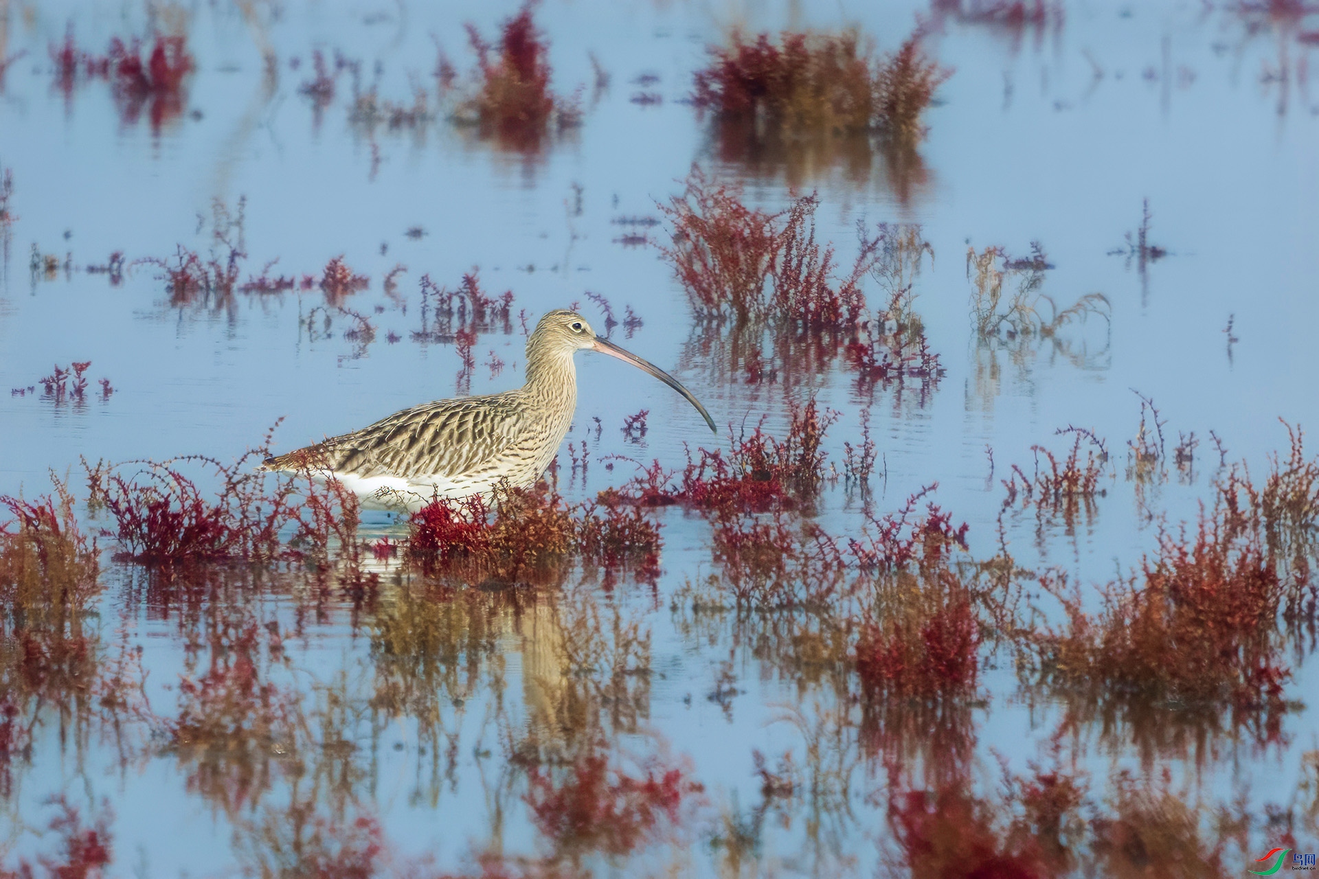 DSC09804 ����.jpg