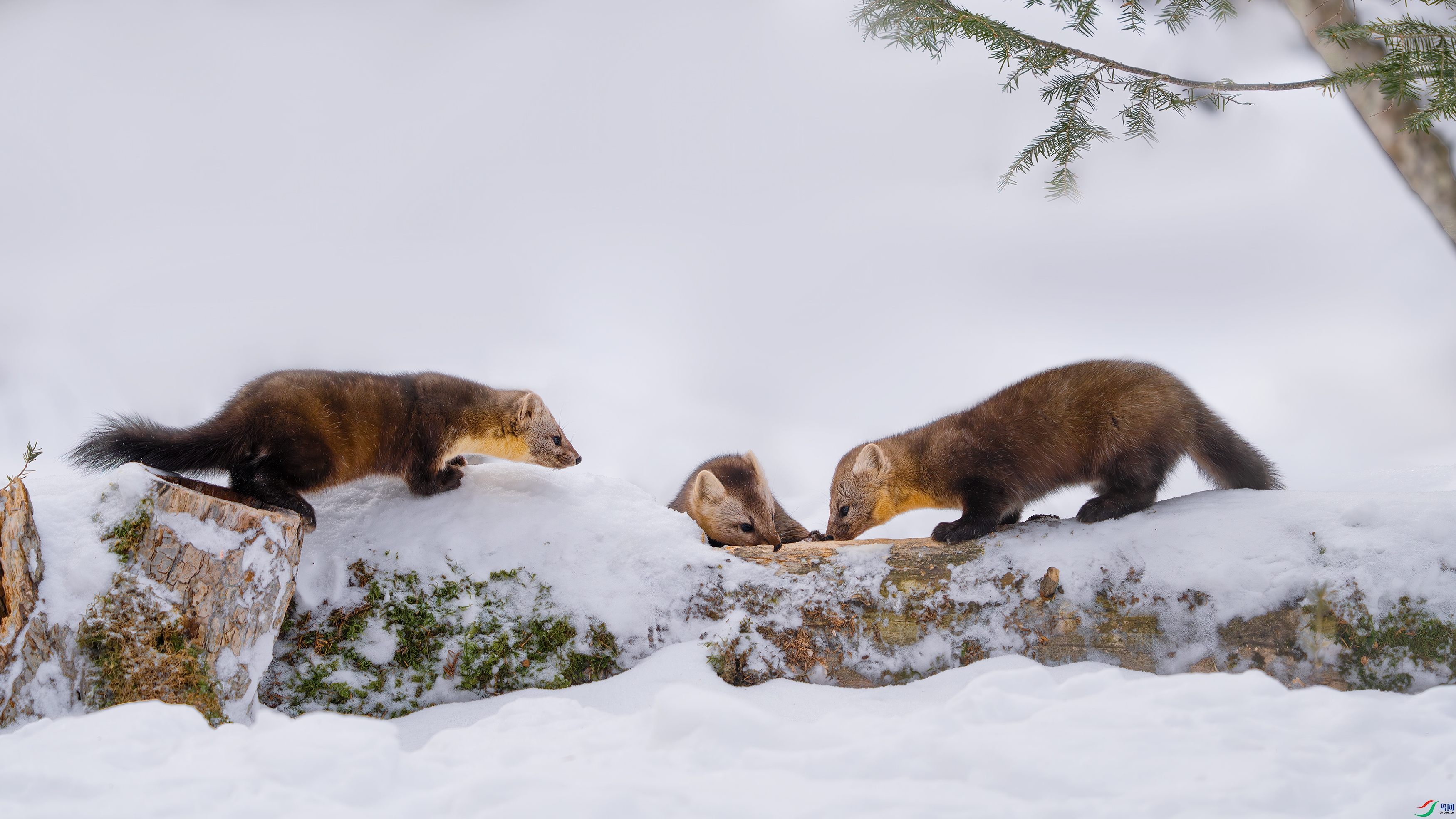 DSC02485 ����.jpg