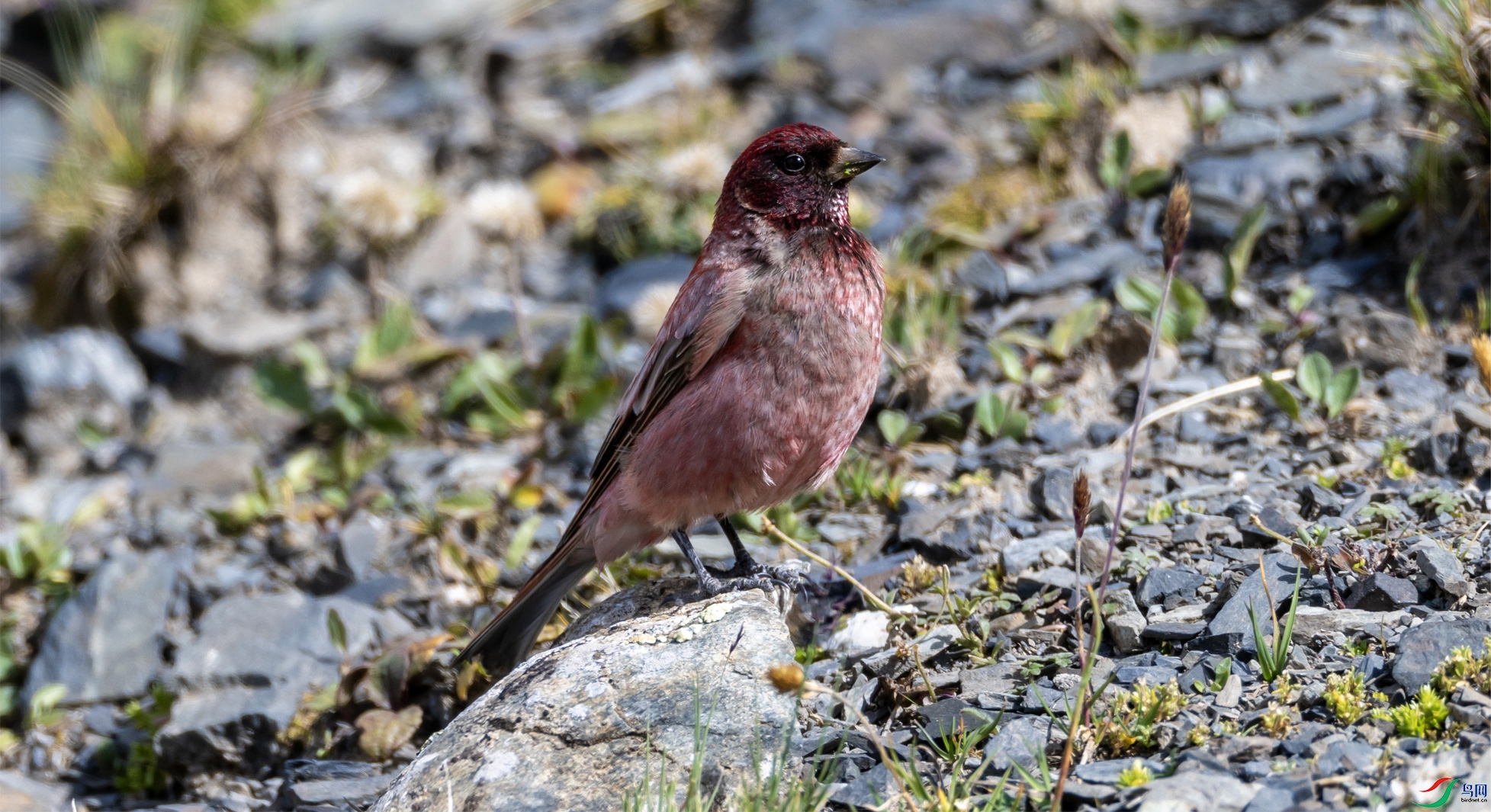 4K2A4665 ��ȸ ����.jpg