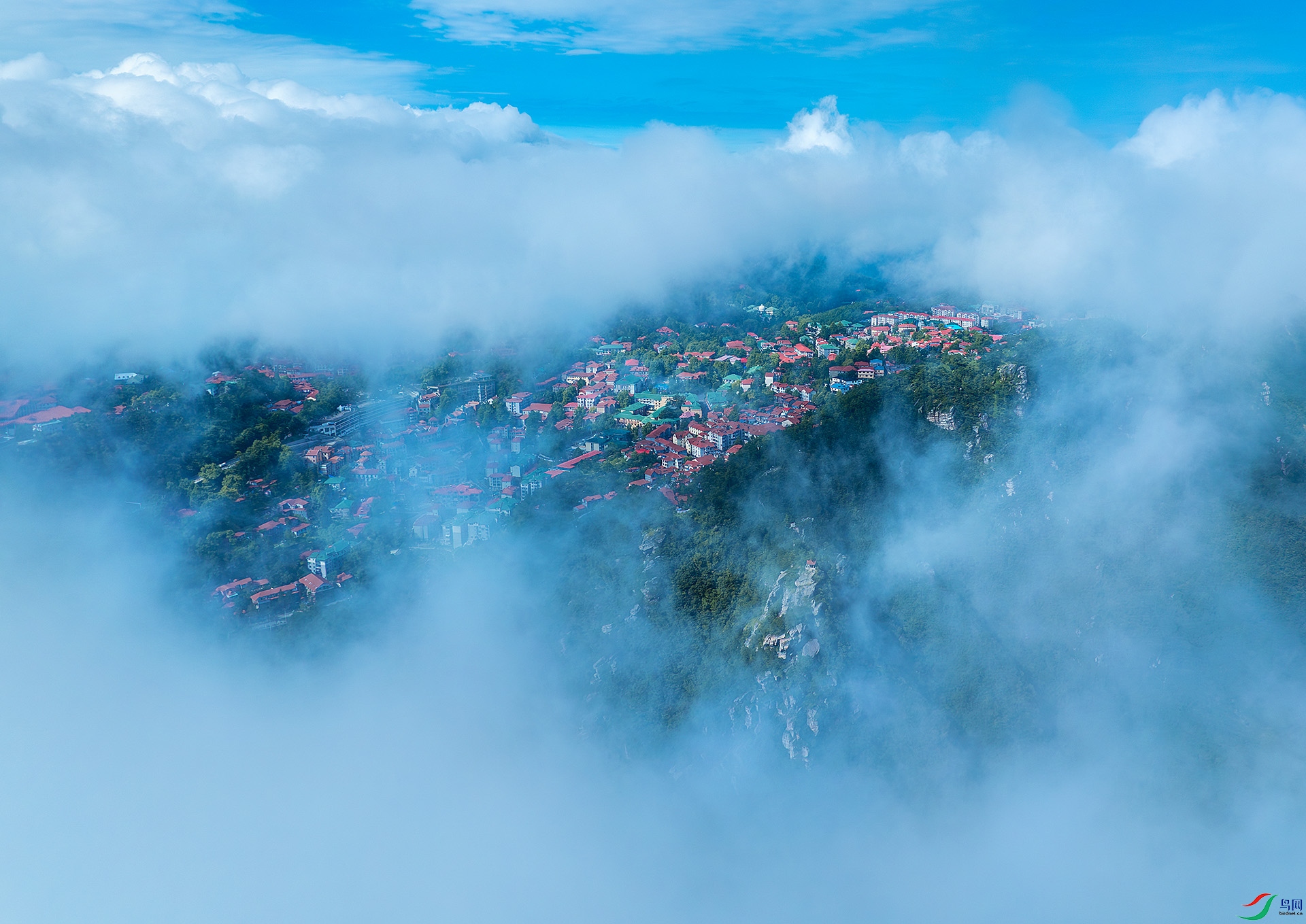 DJI_20250806085330_0354_D-����ǿ-NR ���� 2.jpg