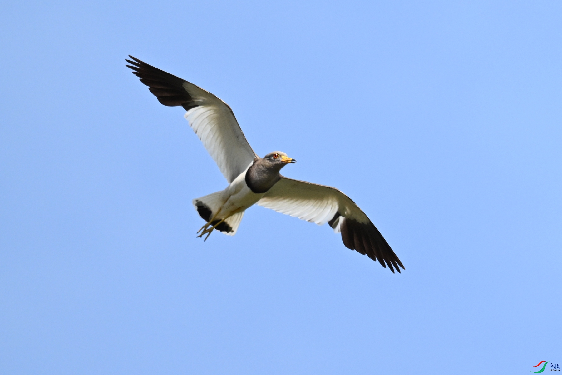 DSC_5377.JPG