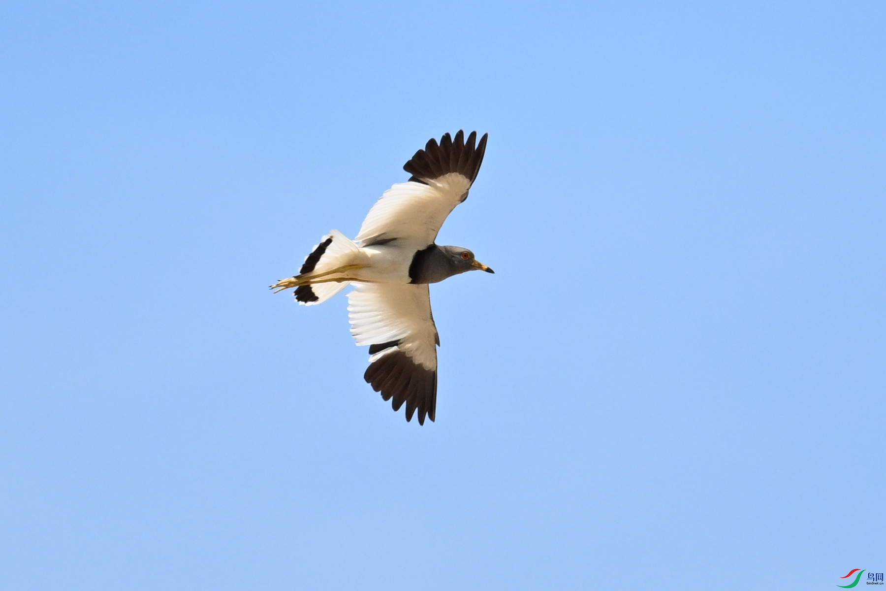 DSC_5394.JPG