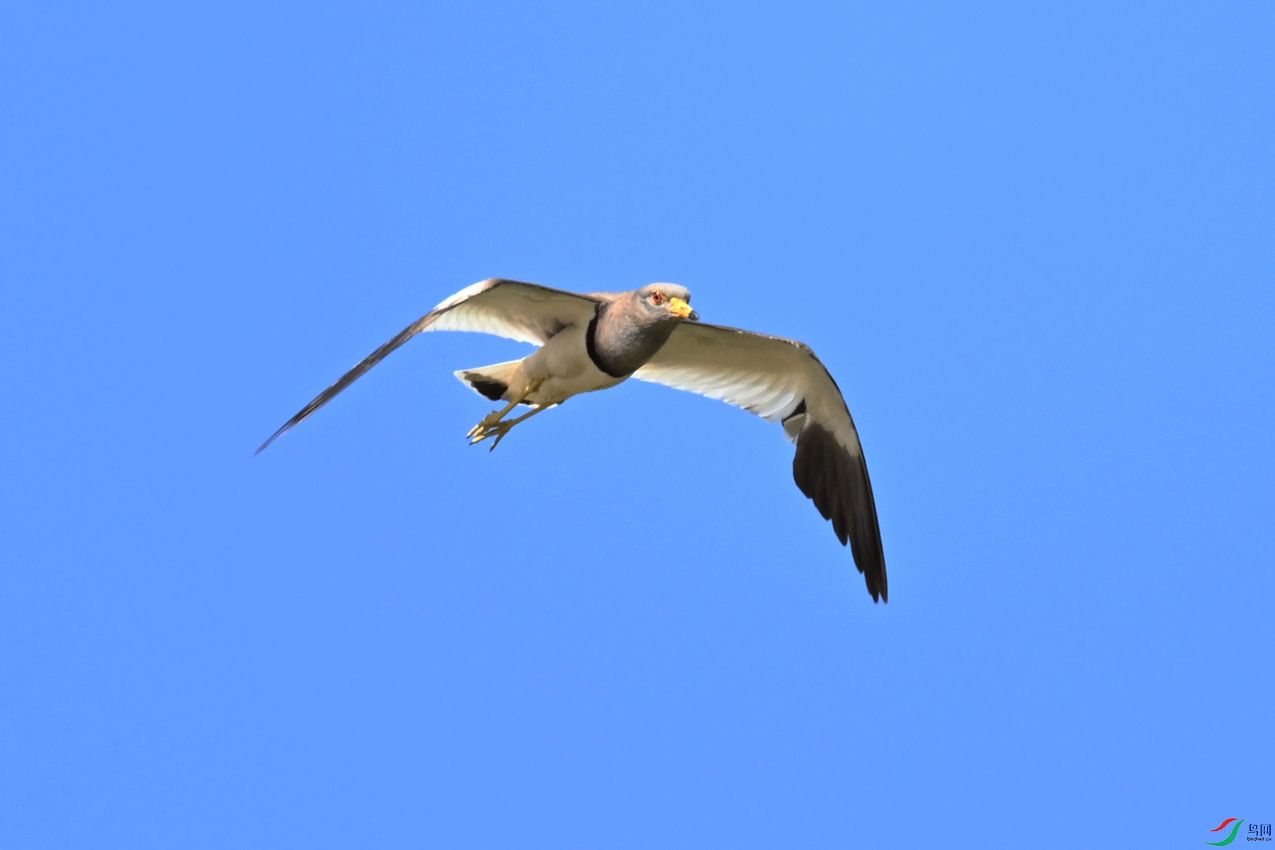 DSC_5357.JPG