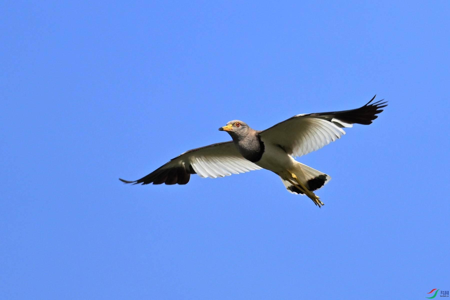 DSC_5370.JPG