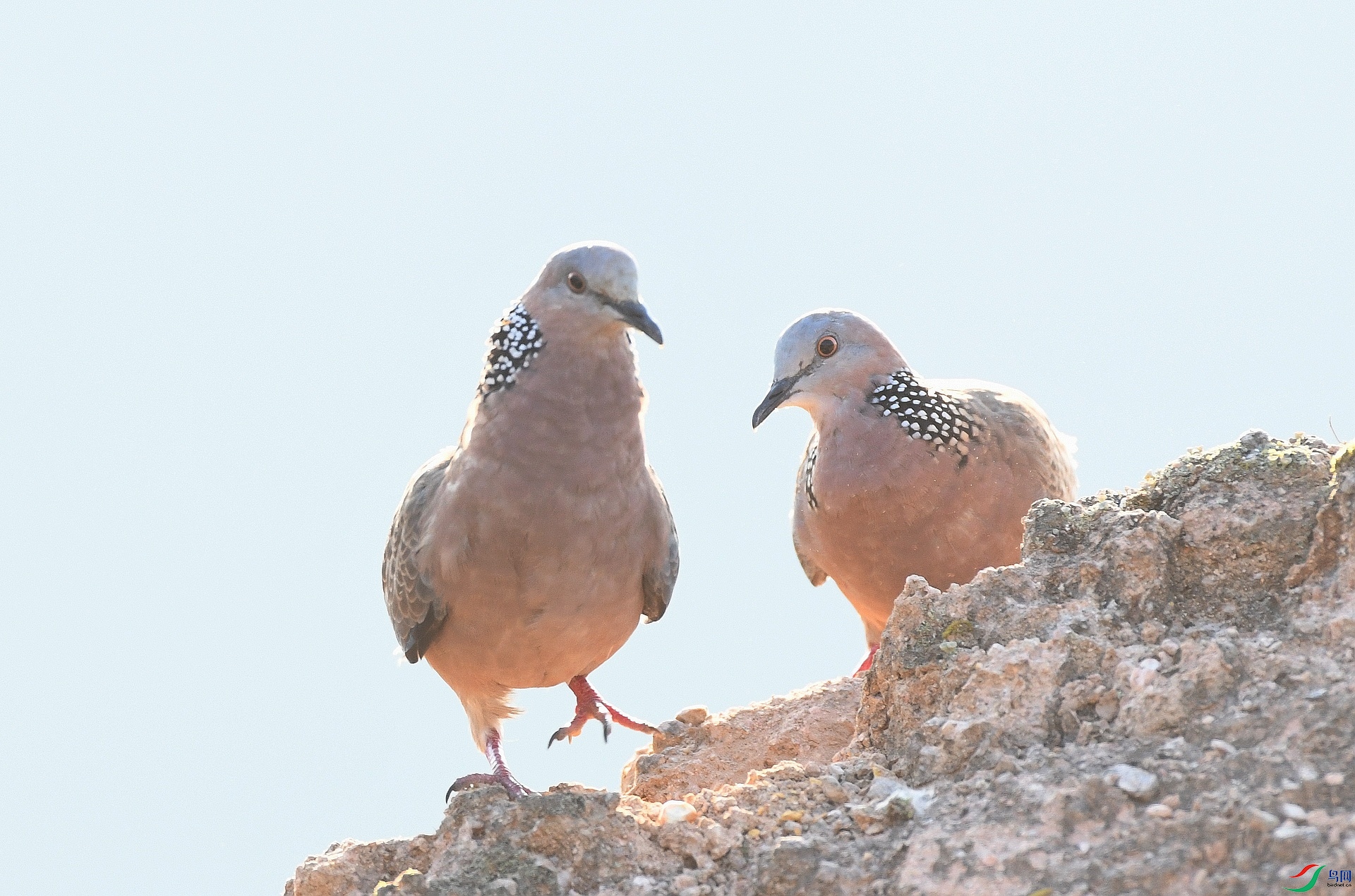 DSC_5756.jpg