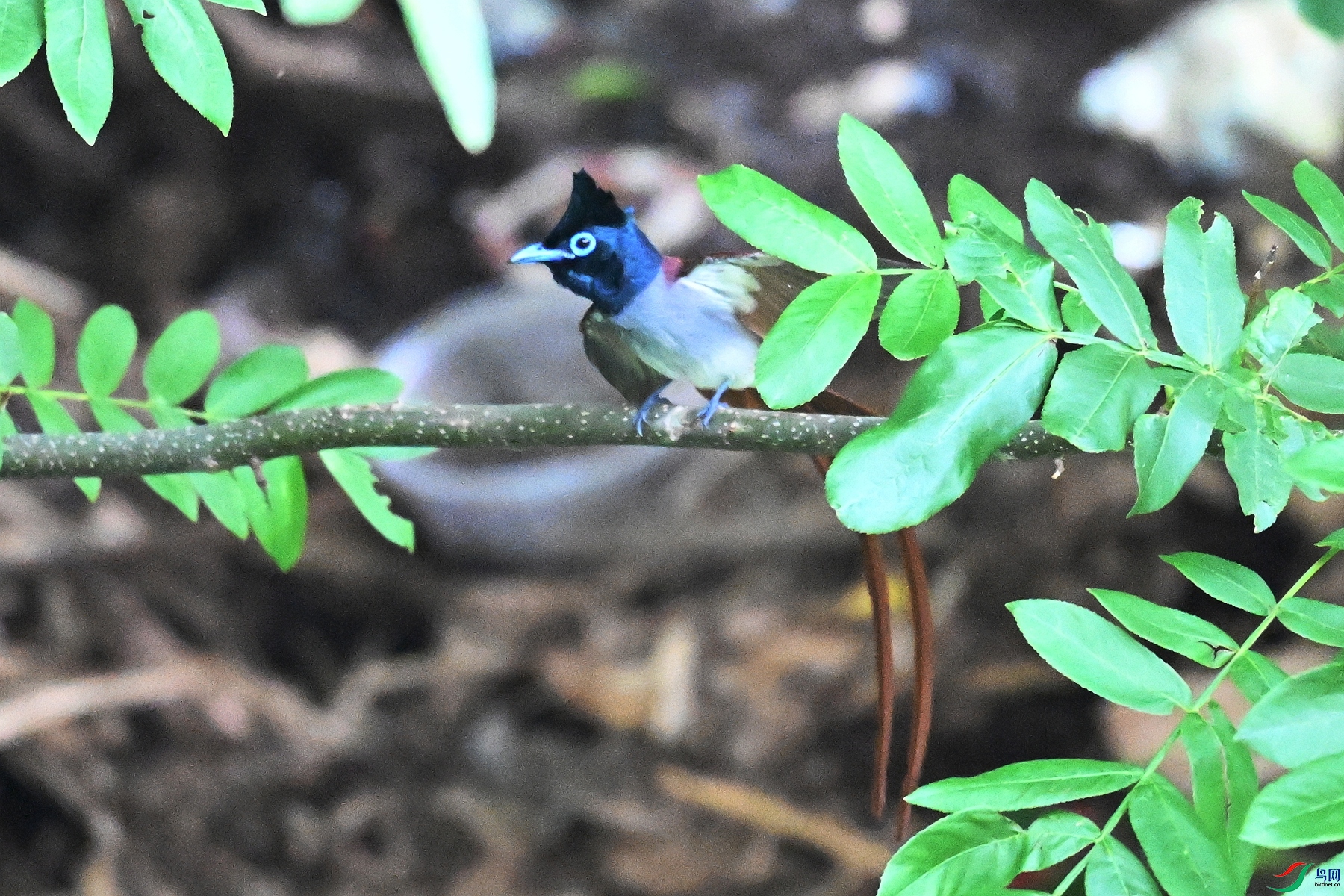 DSC_5407.JPG