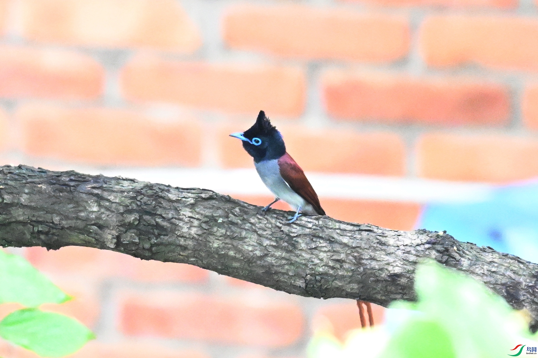 DSC_5415.JPG