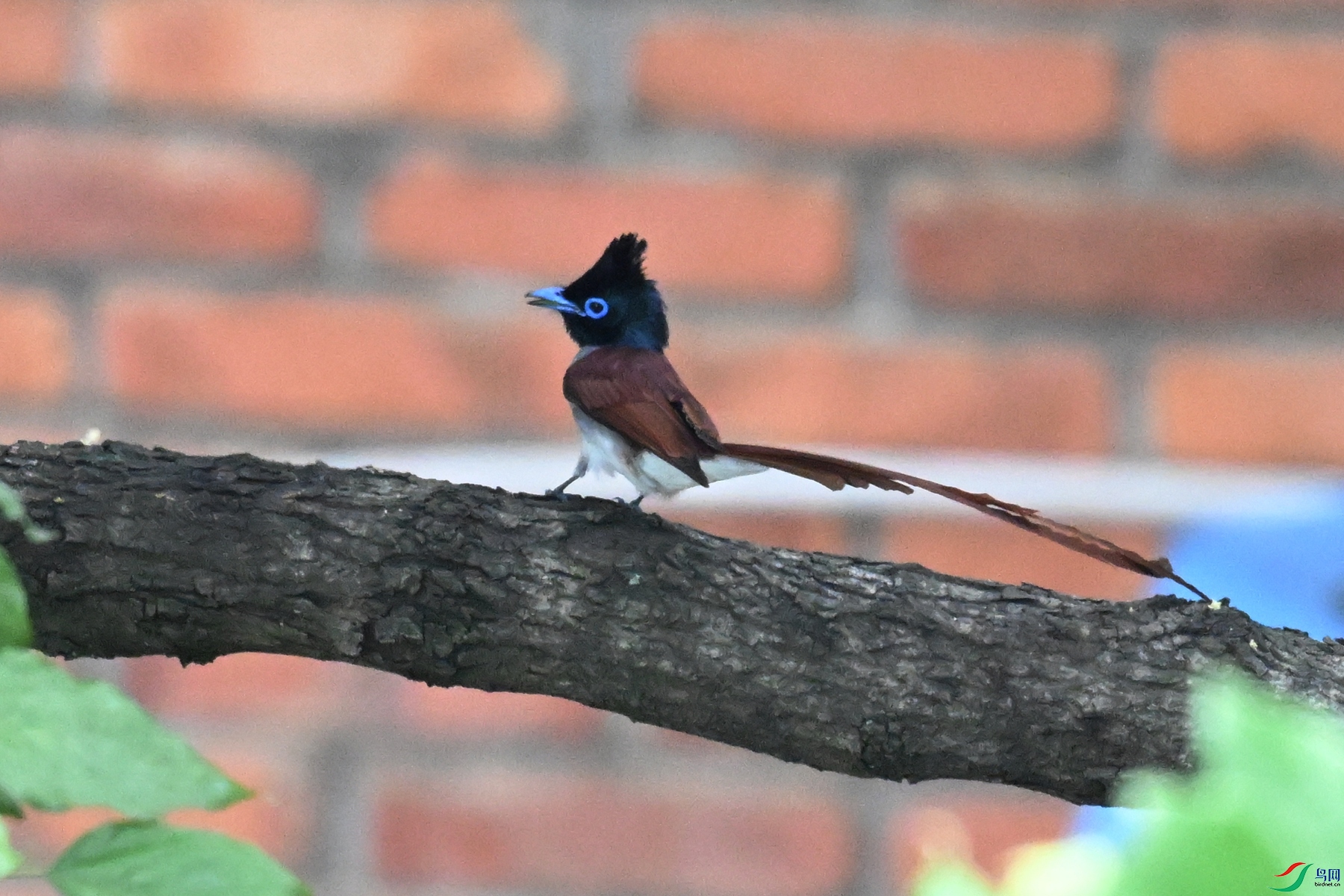 DSC_5421.JPG
