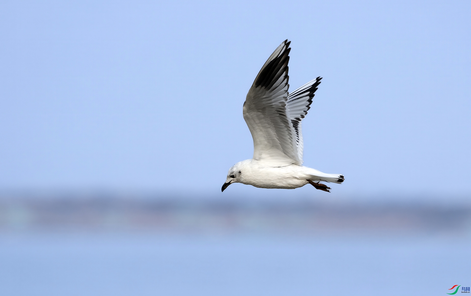 DSC00820 ����.jpg