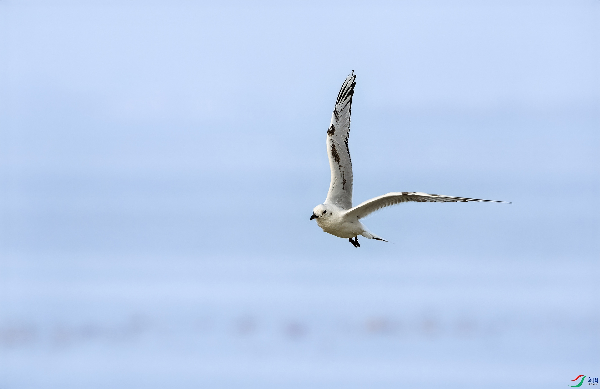 DSC00829 ����.jpg