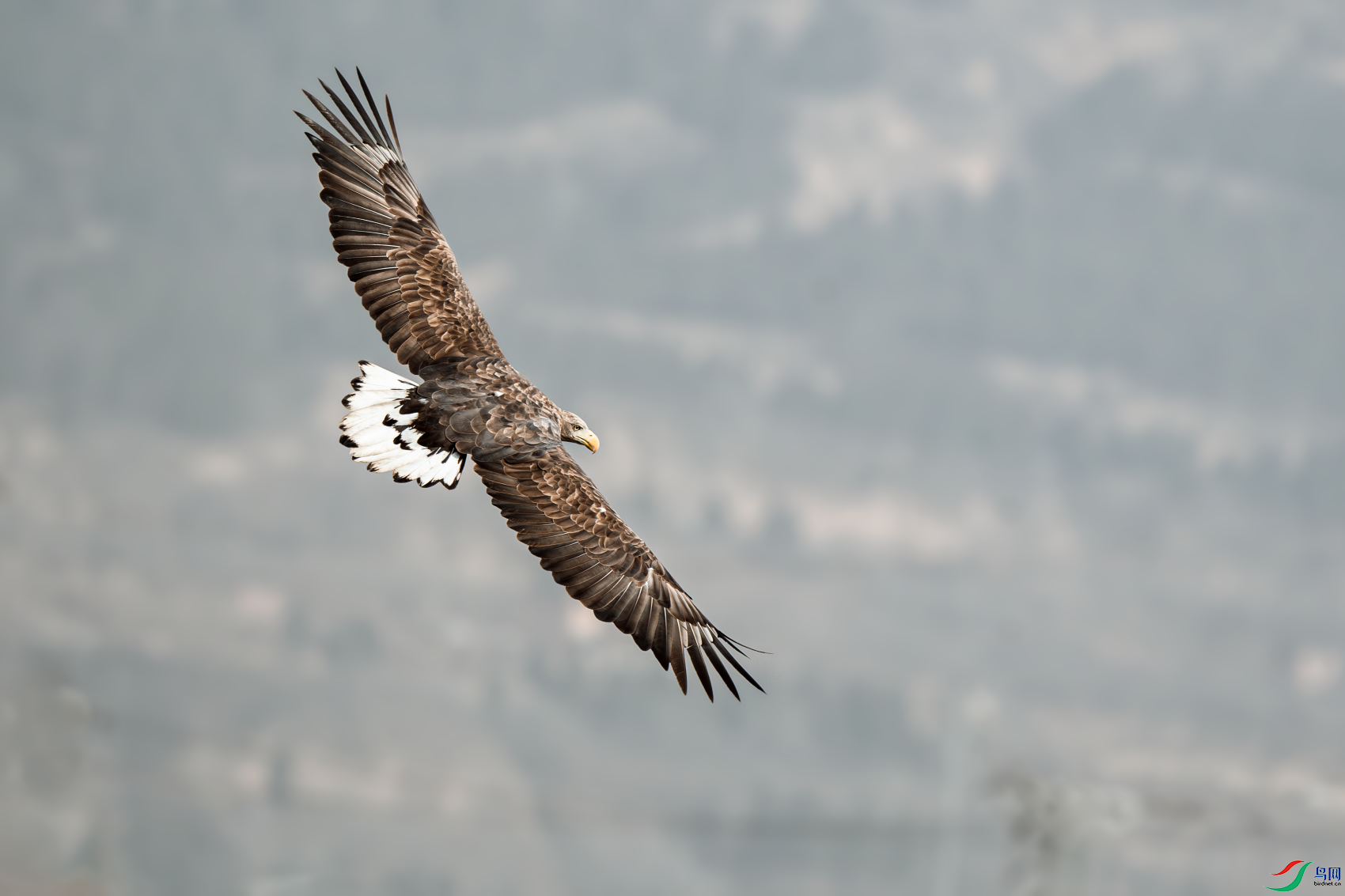 _DSC1072-����ǿ-NR.PNG