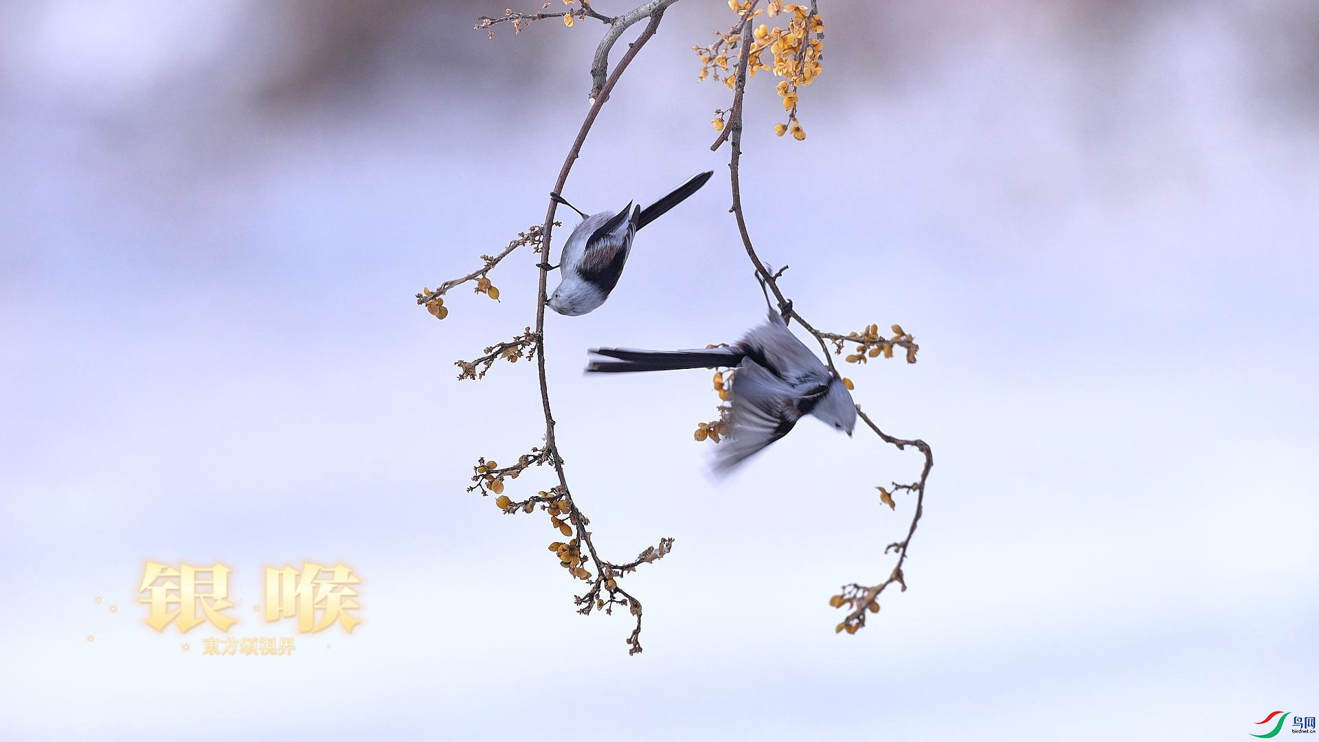 8��21�� ����-����.jpg