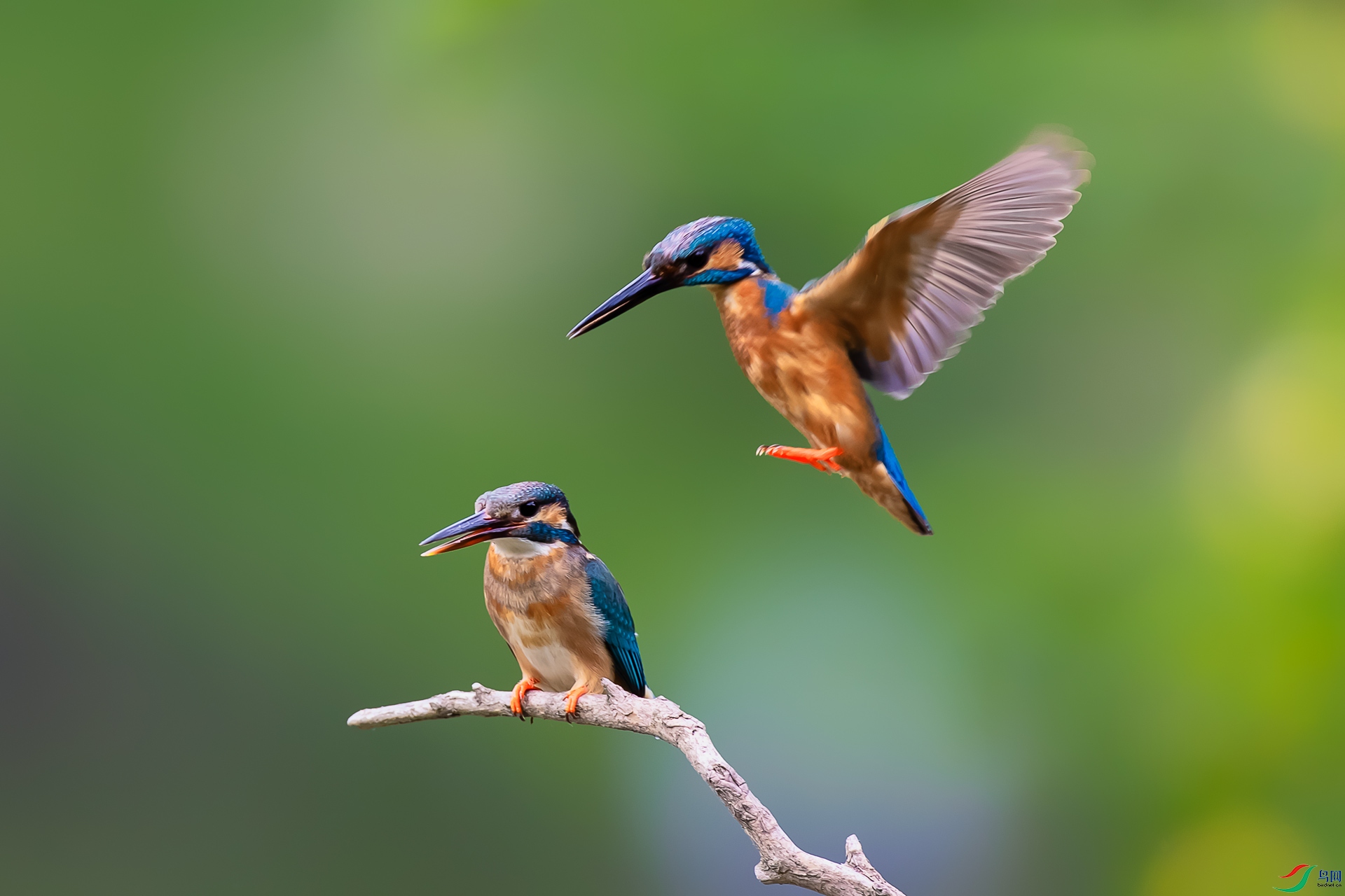 AK8I8218 - ����.jpg