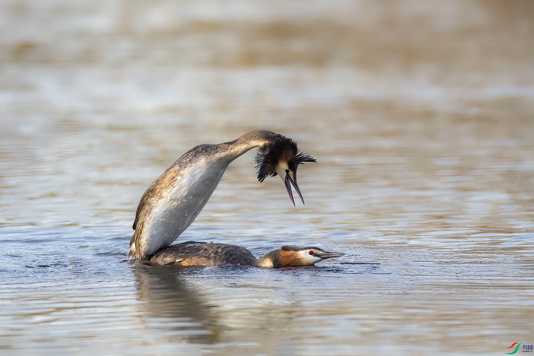 488A6243 ����.jpg