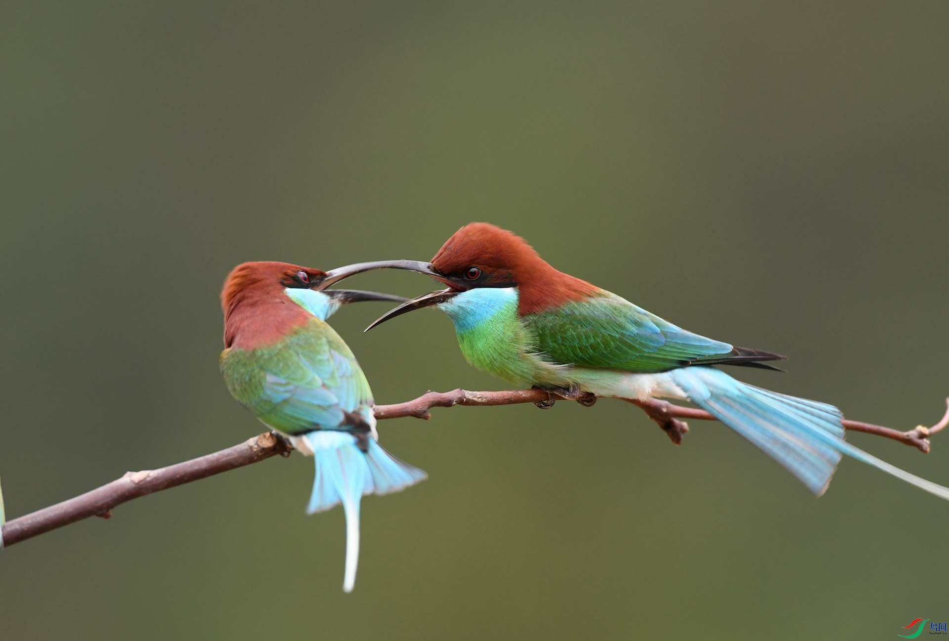 DSC_7572.jpg