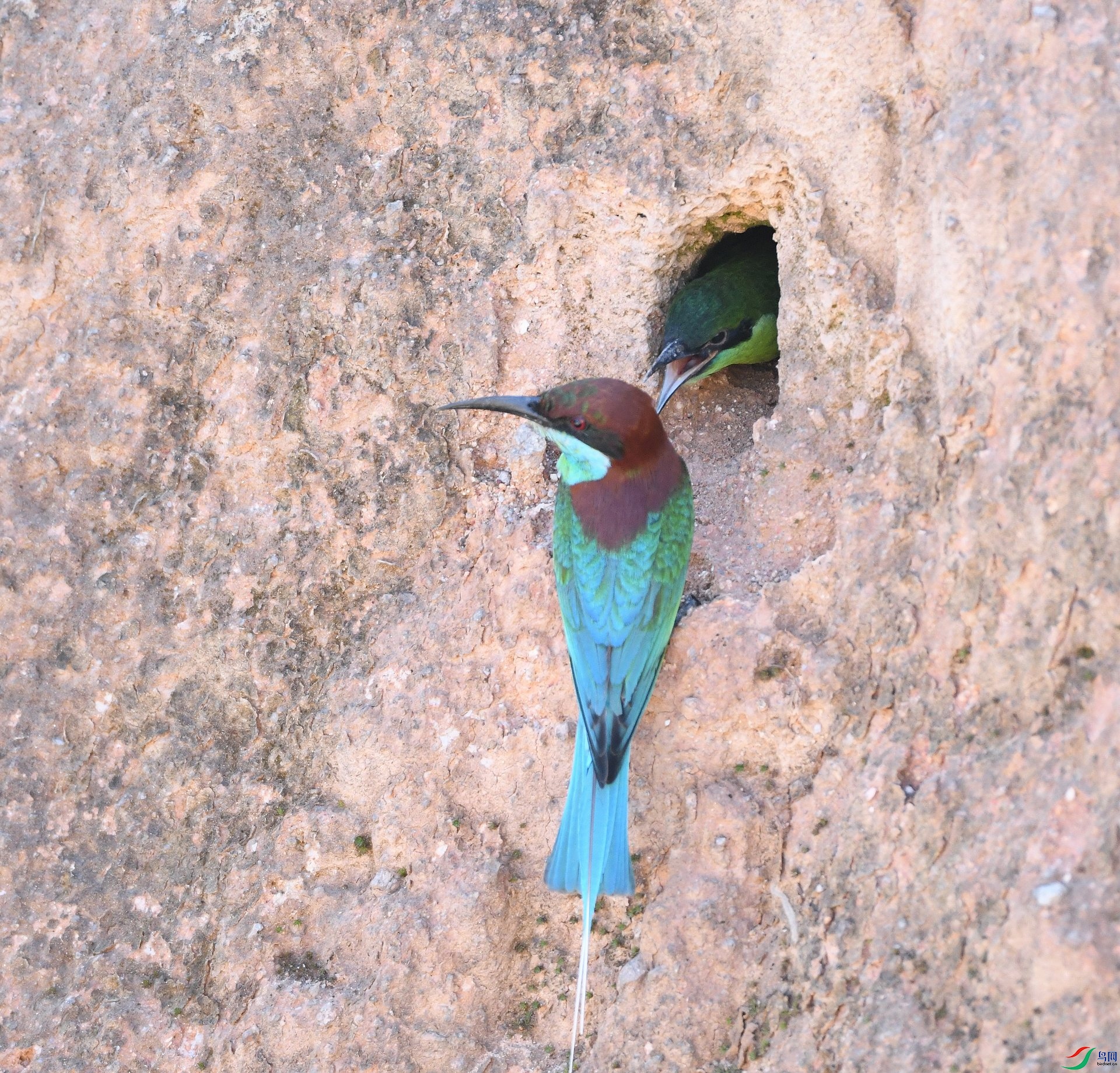 DSC_7991.jpg