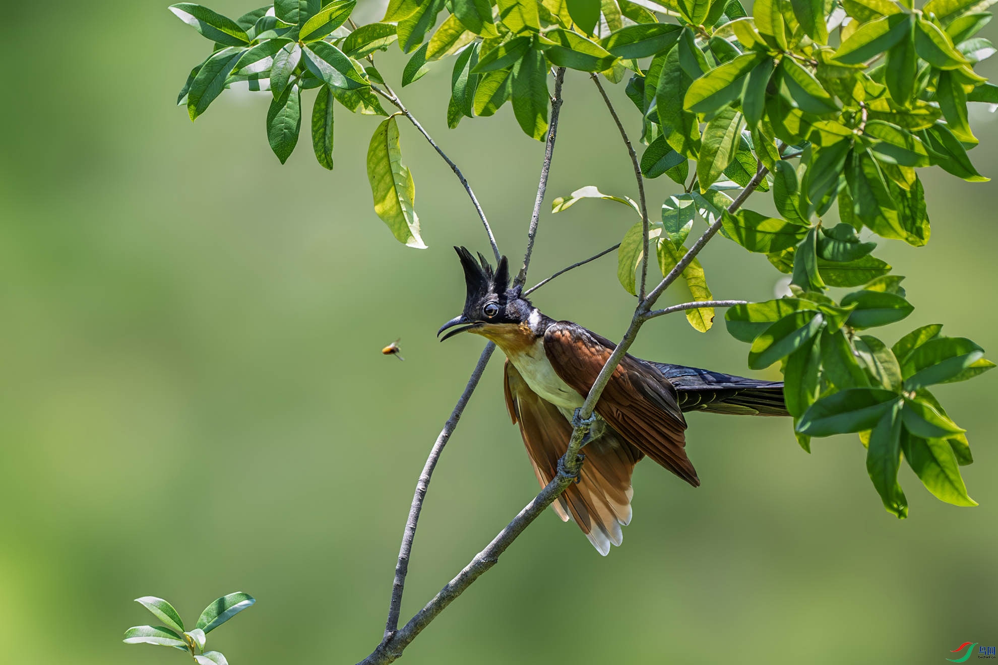 DSC_1923 ����.jpg