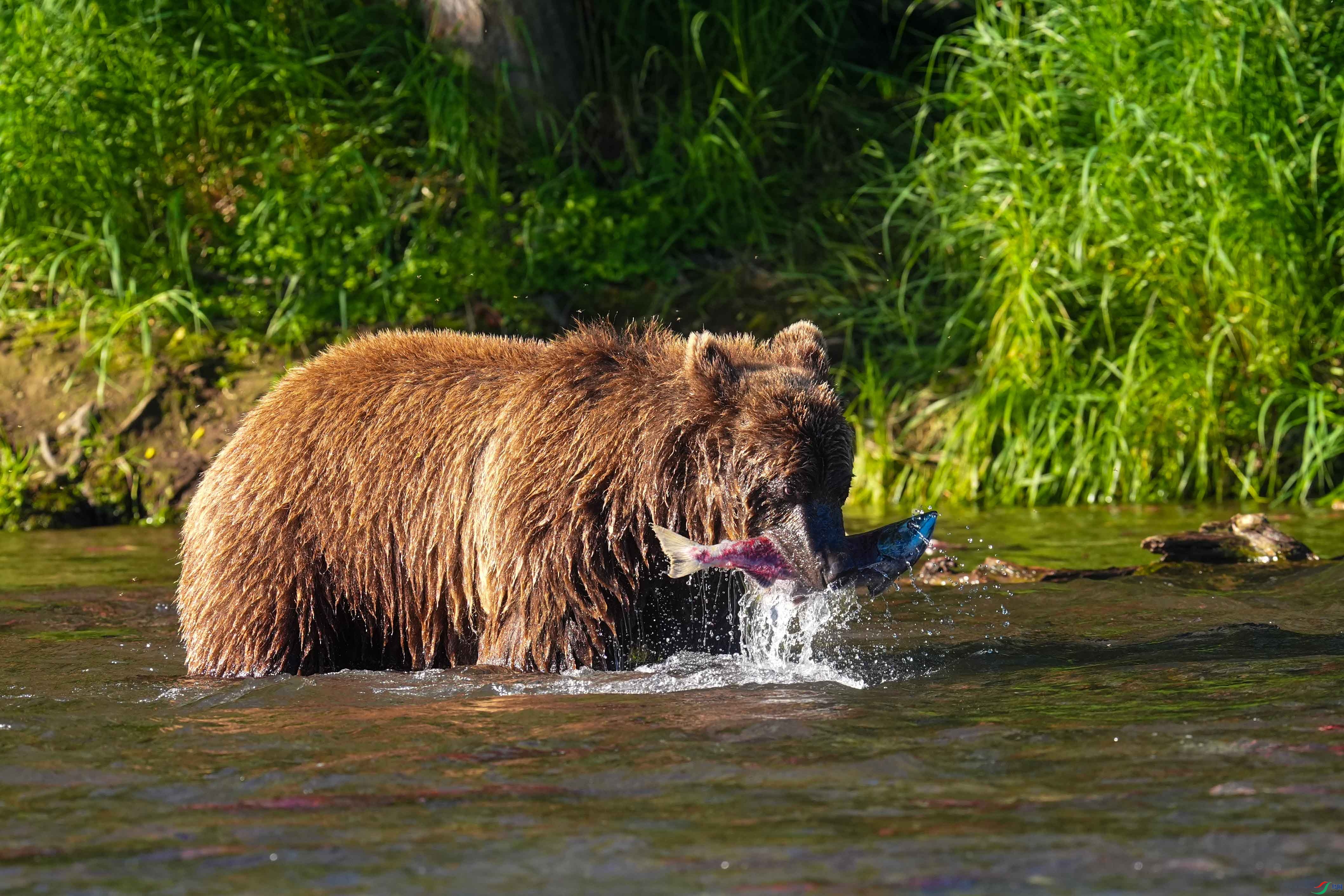 DSC08902-1.jpg