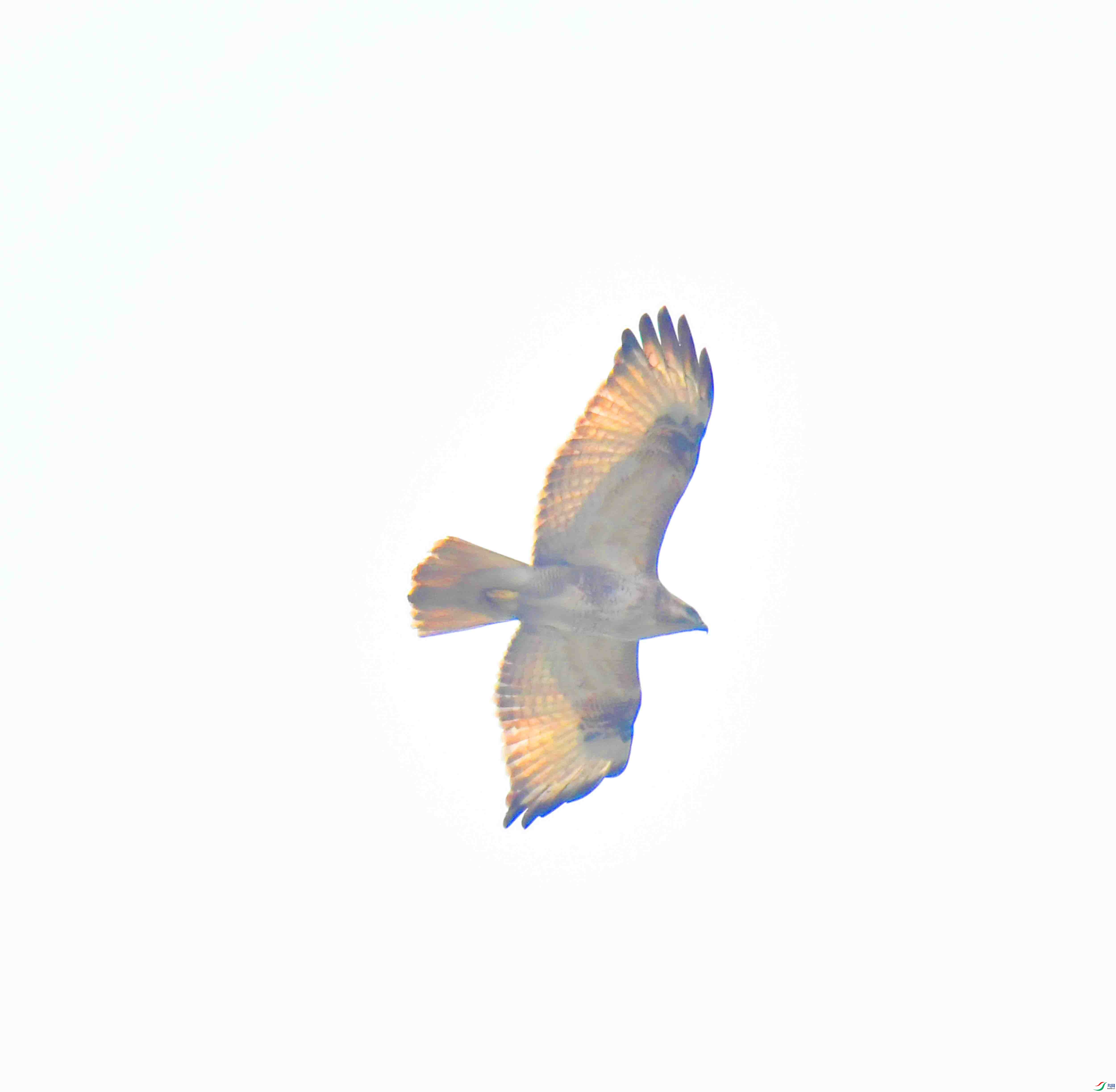 DSC_1409.JPG
