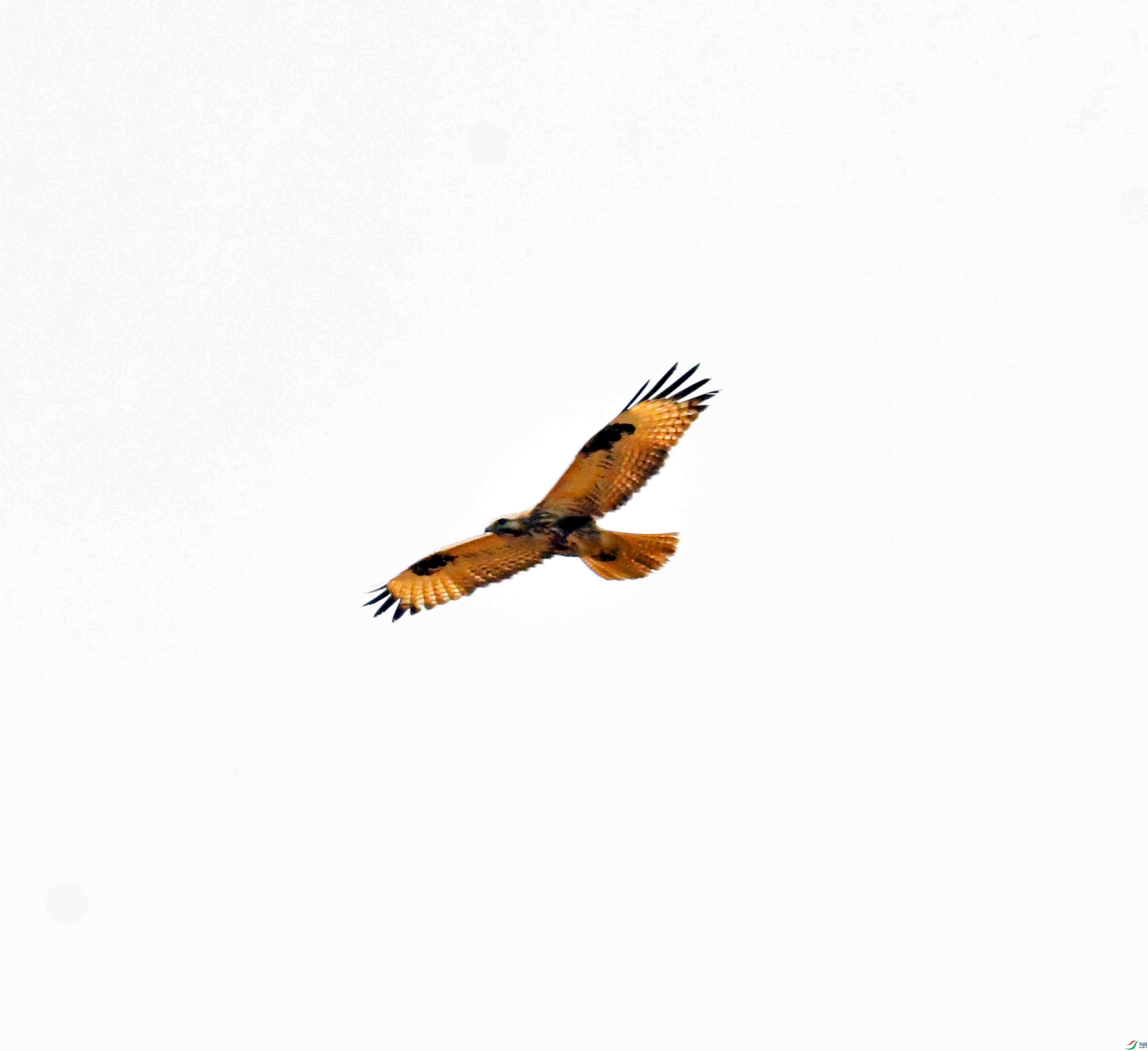 DSC_1663.JPG