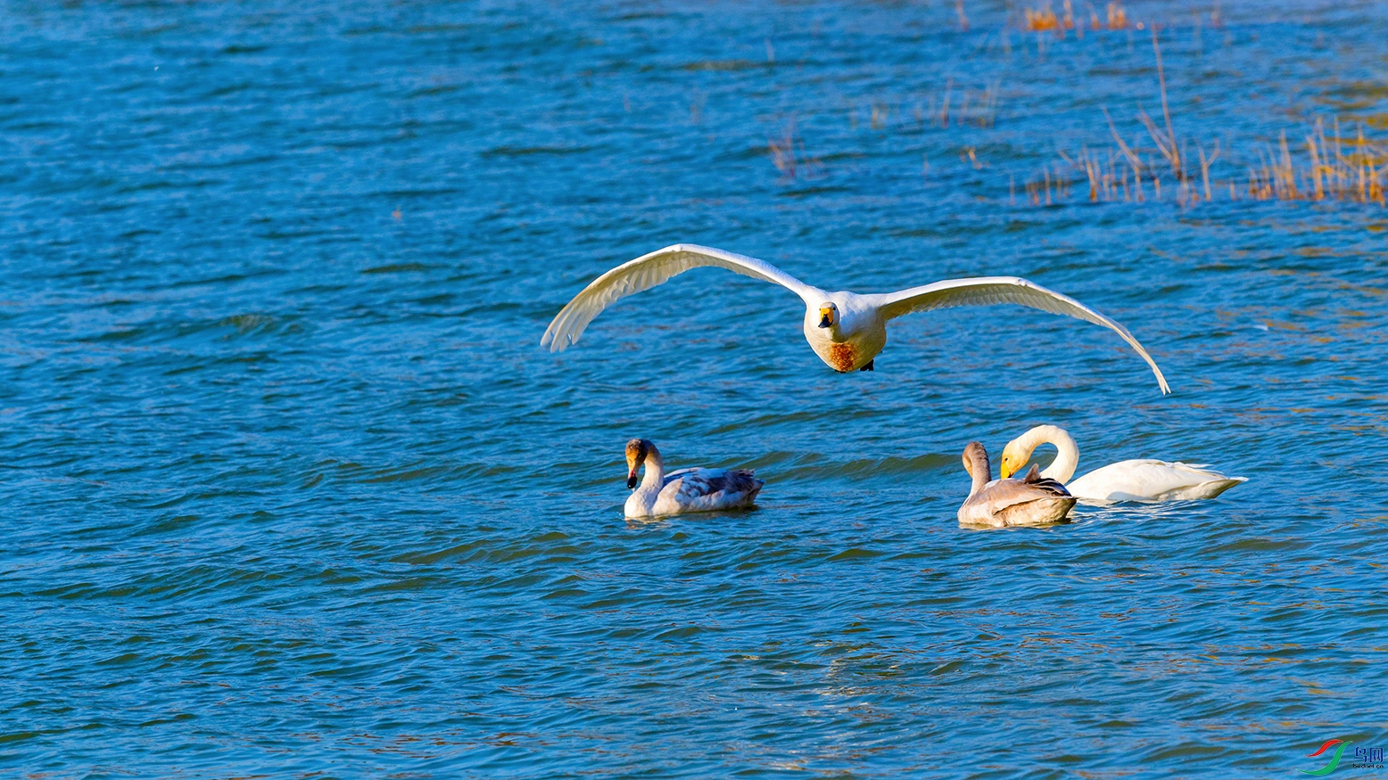 DSC_3770_DxOa.jpg