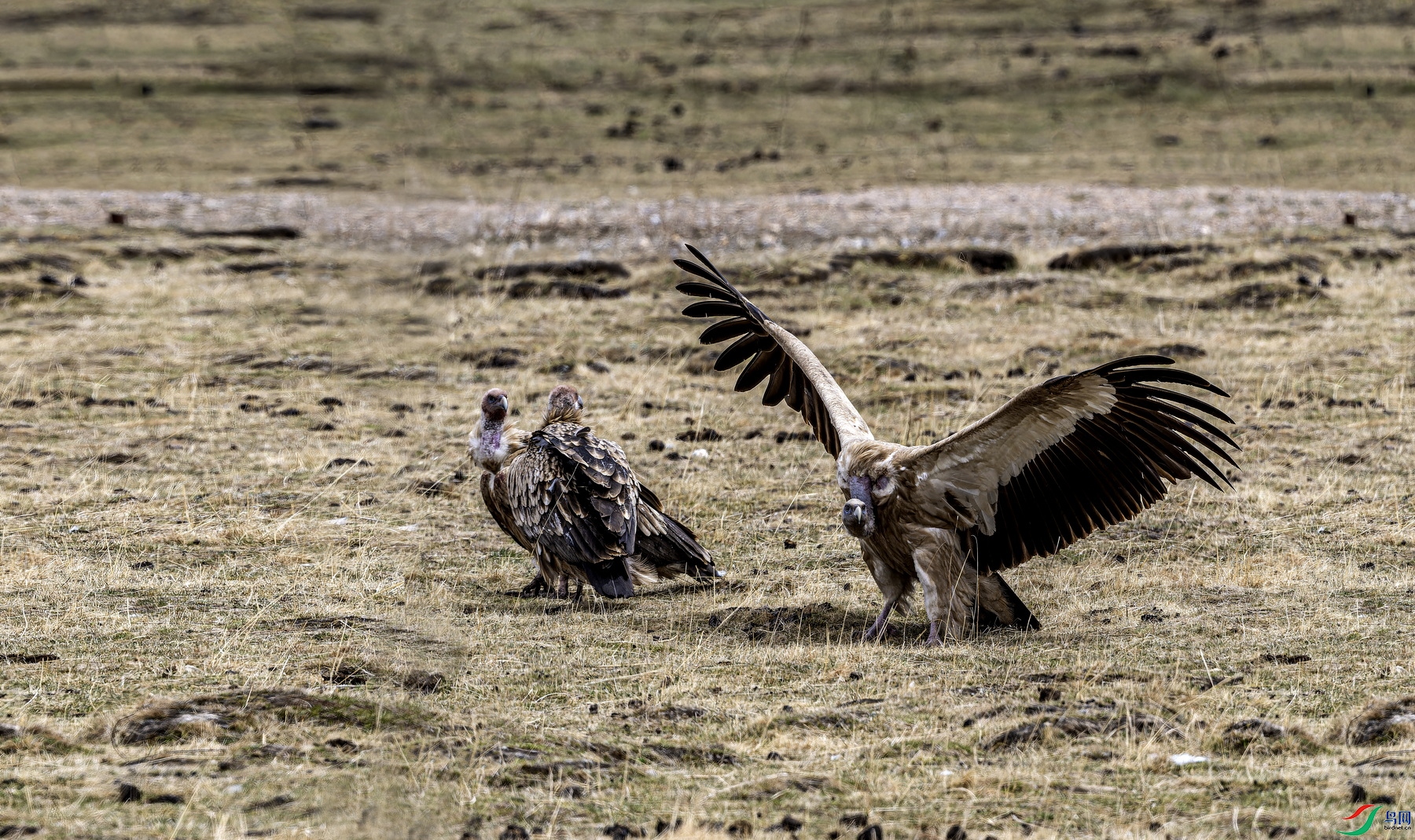 ��ɽأ�� (2)-01.jpg