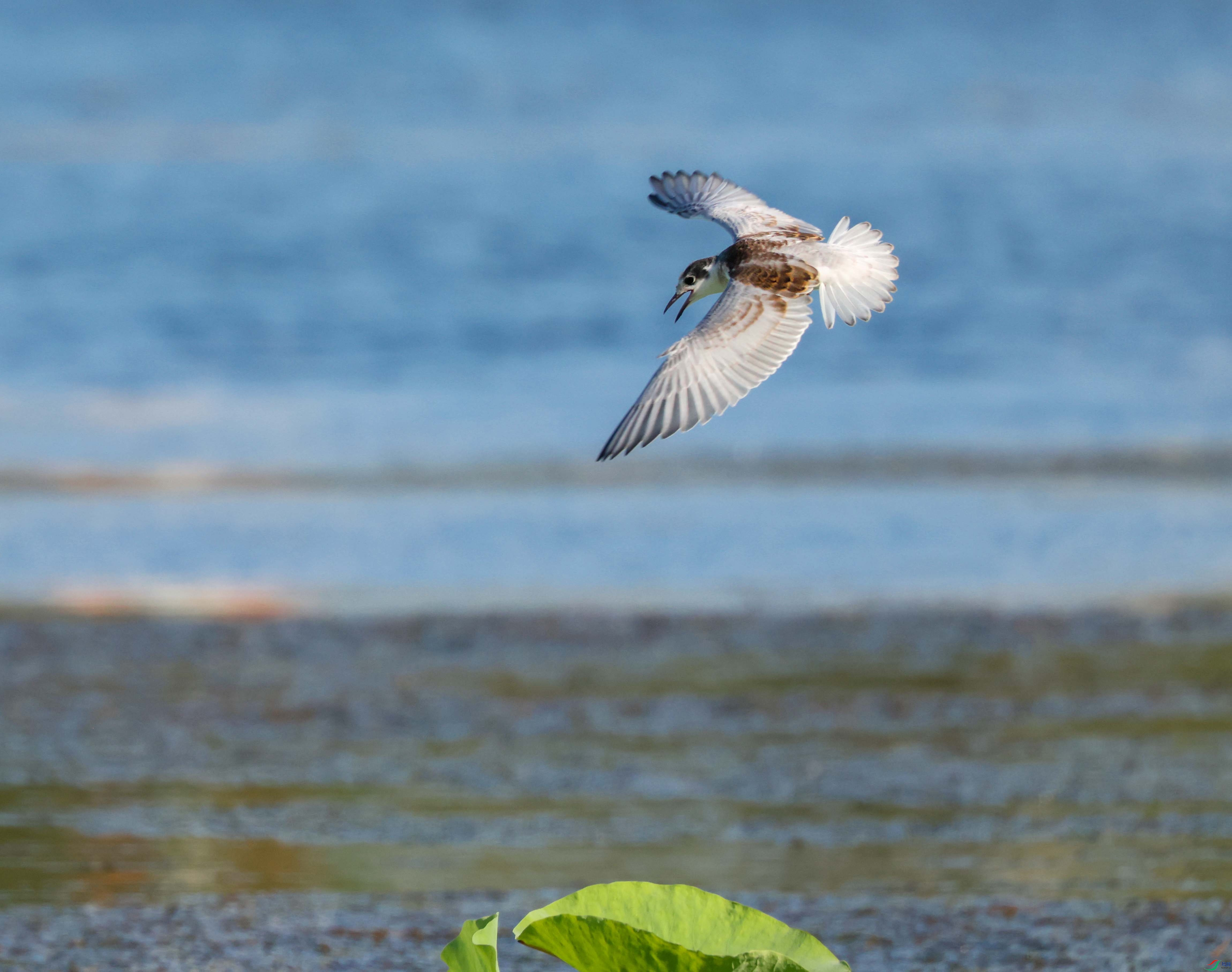 1-xt4L2A6925 ����.jpg