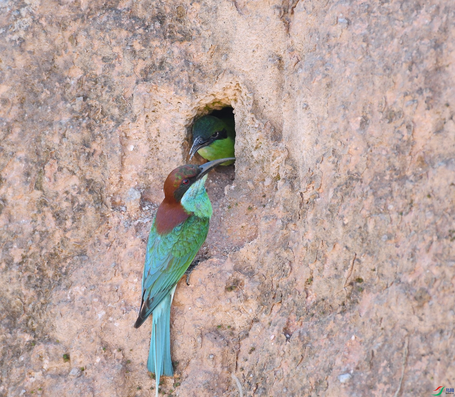DSC_8057.jpg