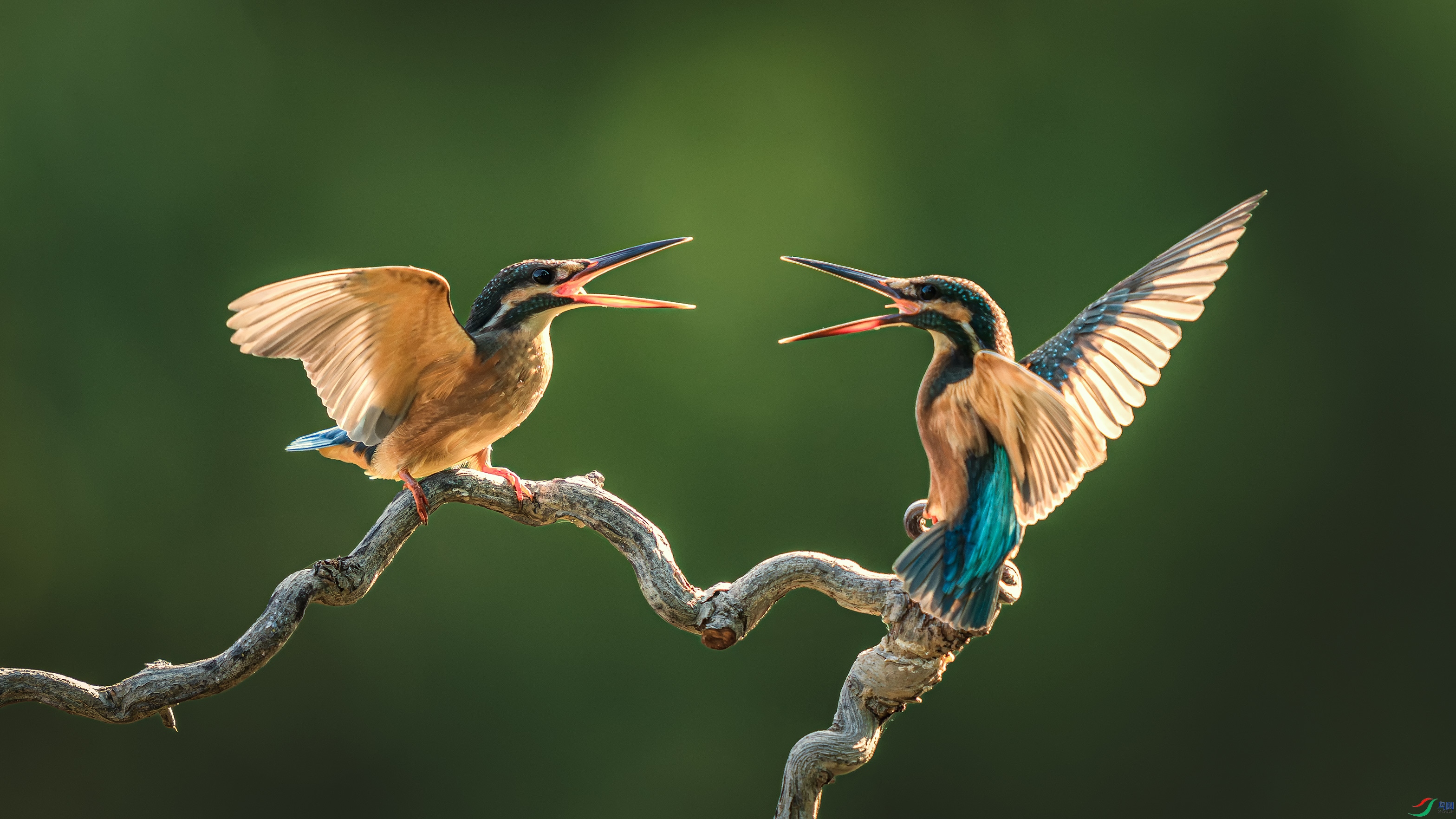 ��_DSC8228_����.jpg