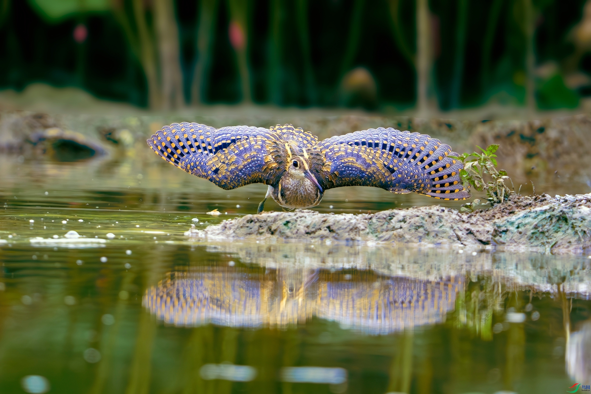 _DSC8806 ����_����.jpg