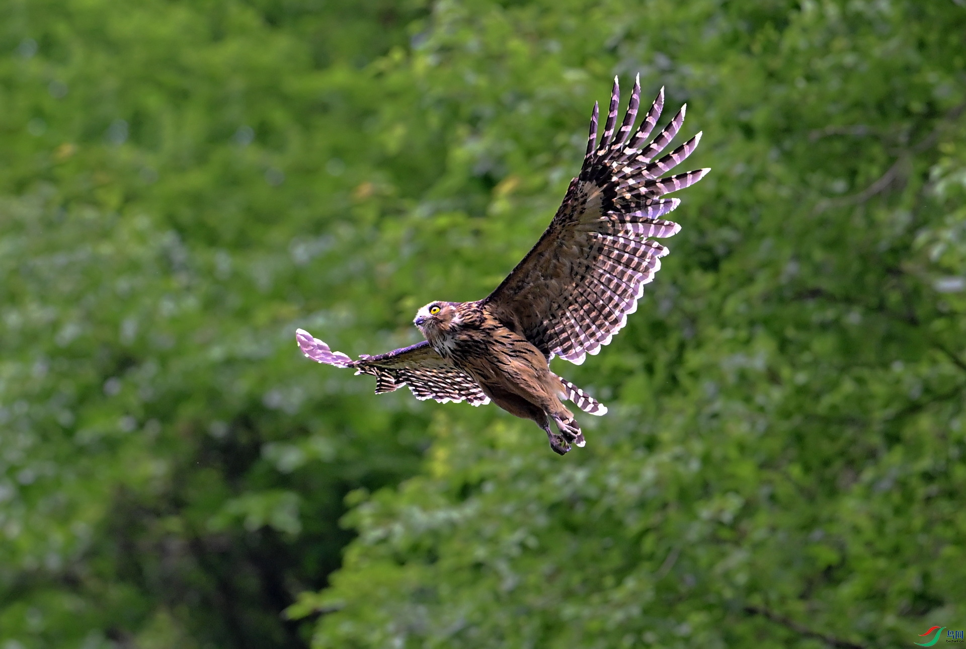 _DSC0749-2 ����x.jpg