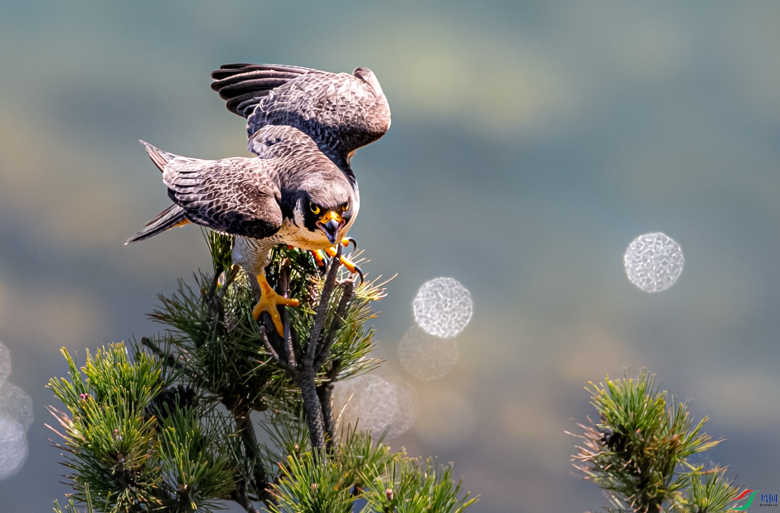A91Q1072.jpg