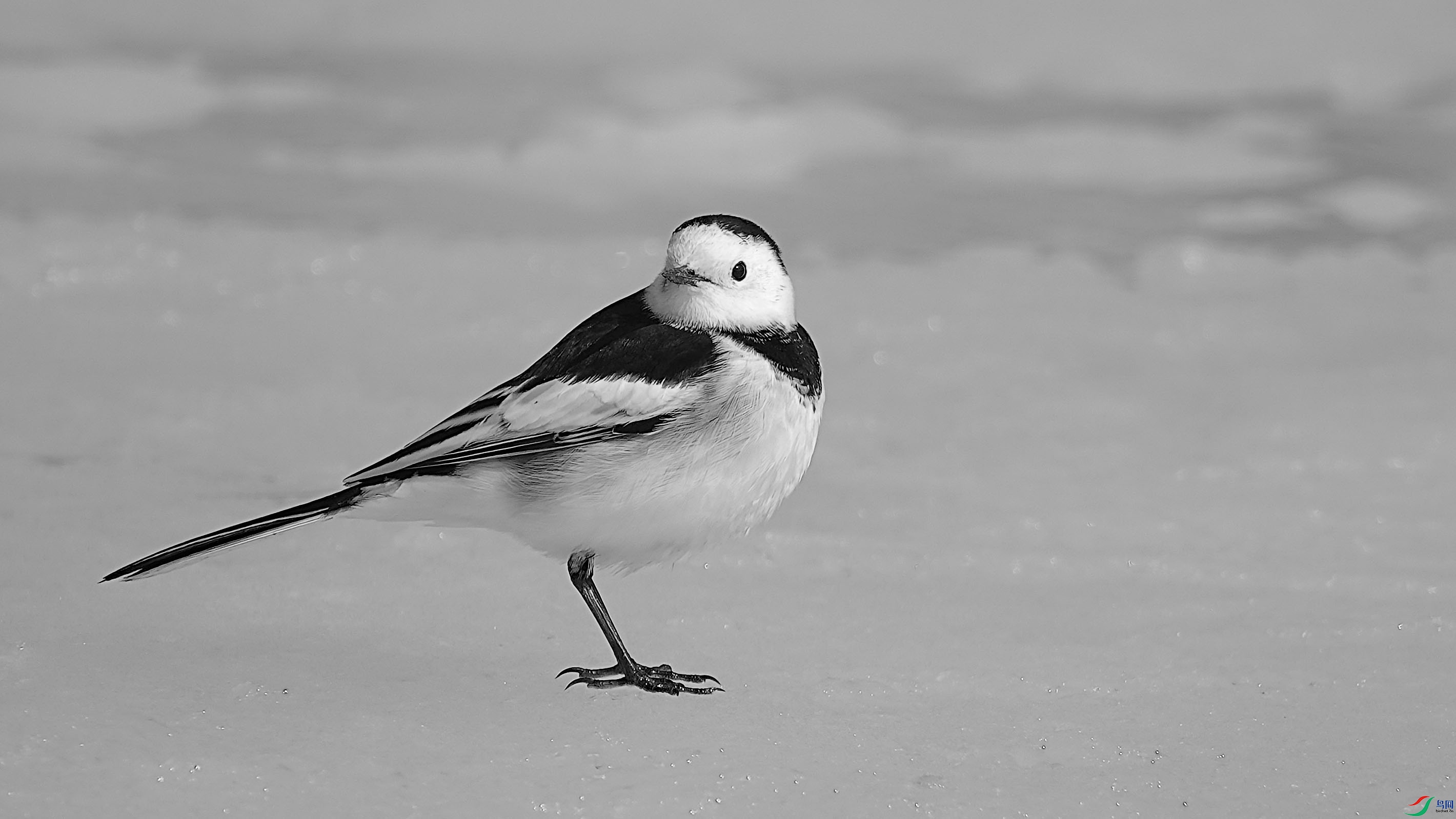 aDSC02508 ����.jpg