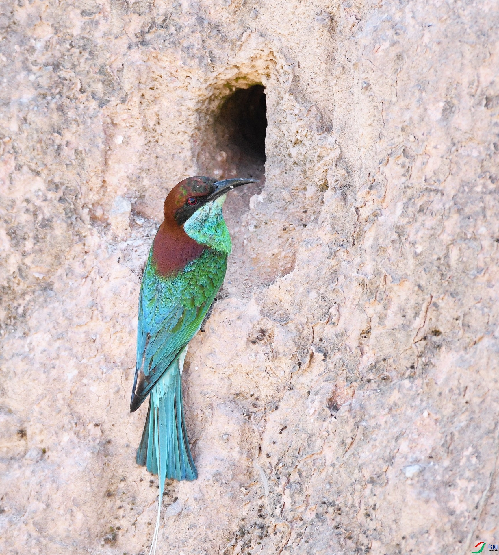 DSC_6380.jpg