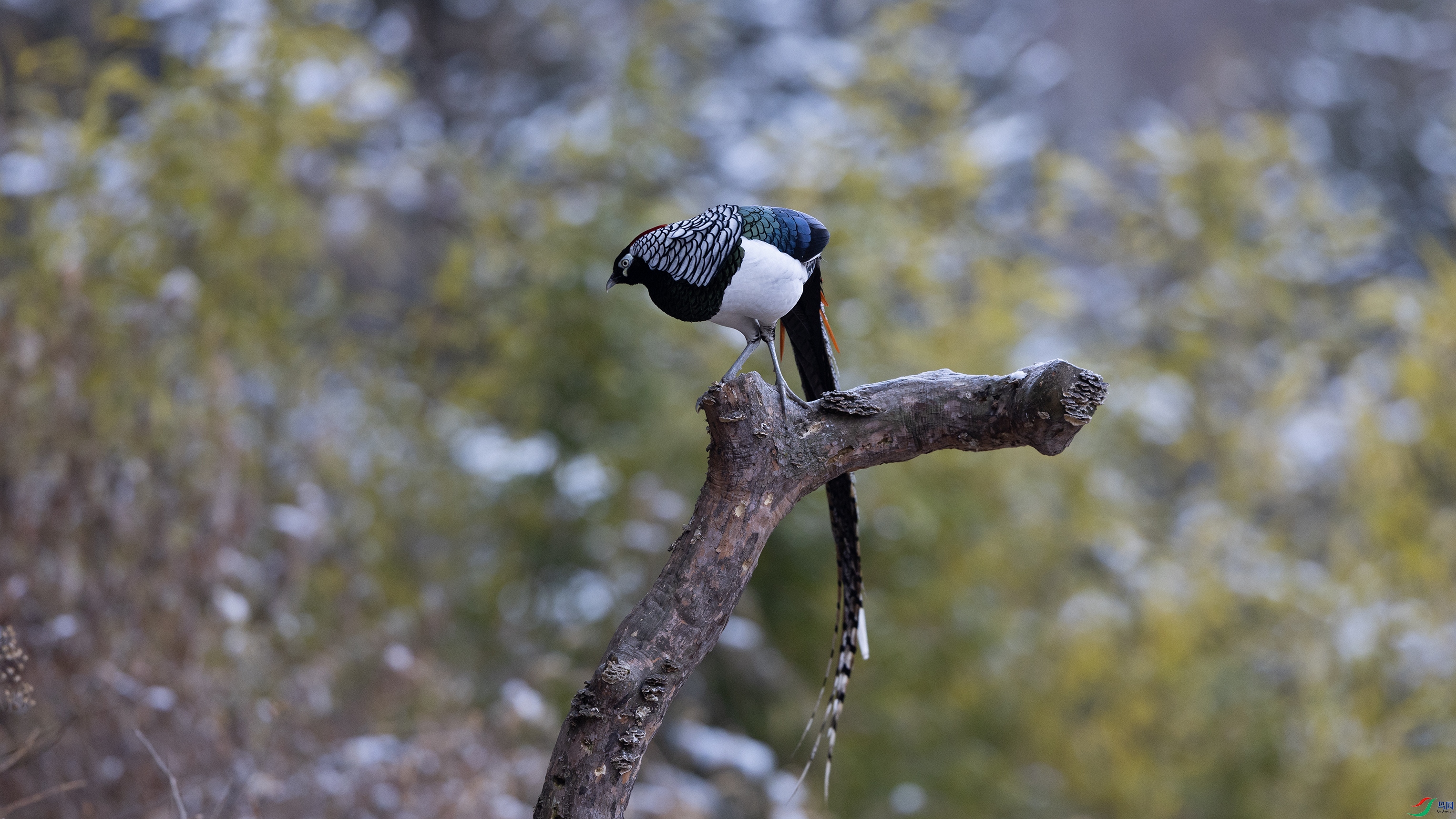 7X5A7816 ����.jpg