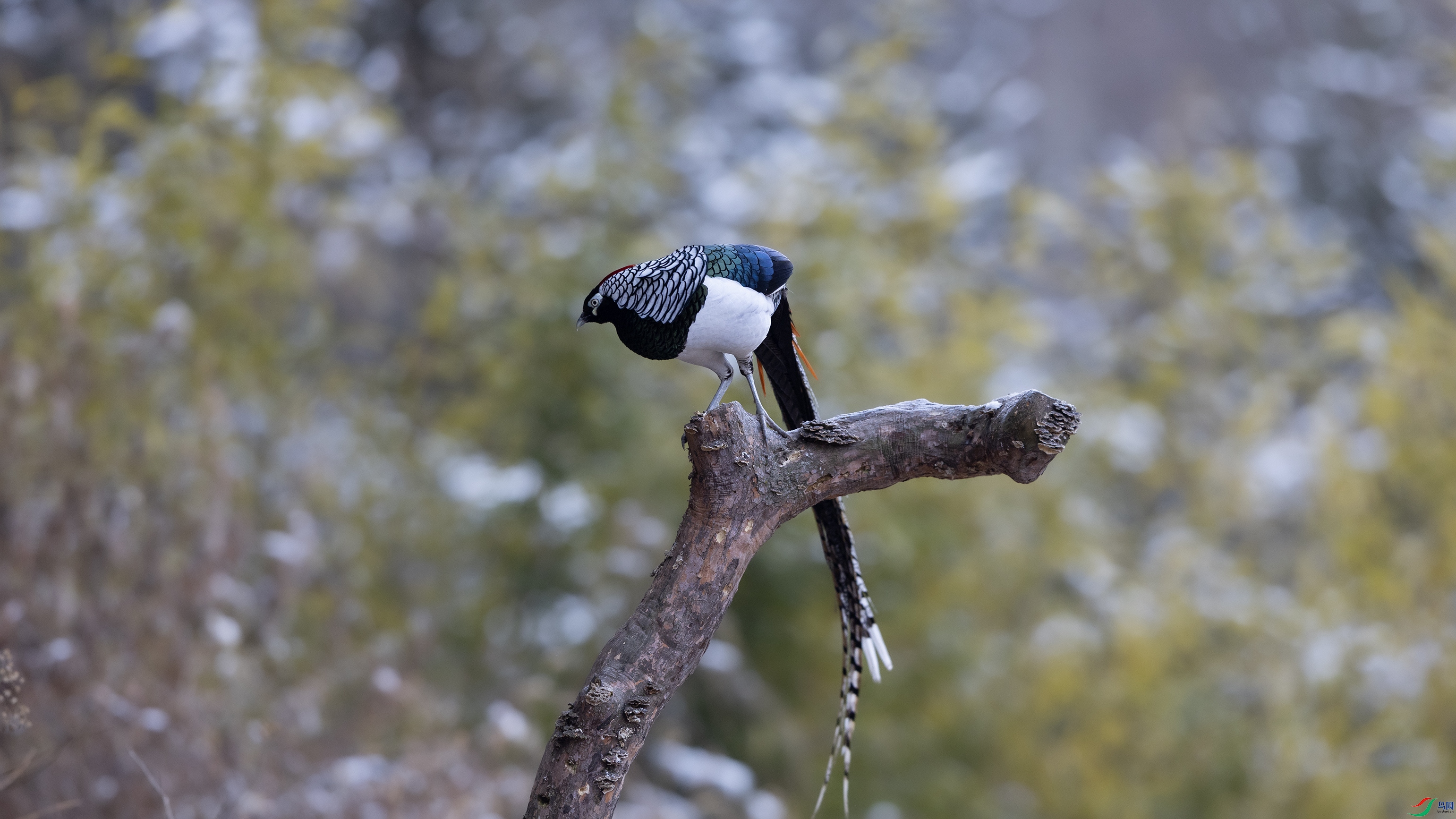 7X5A7817 ����.jpg