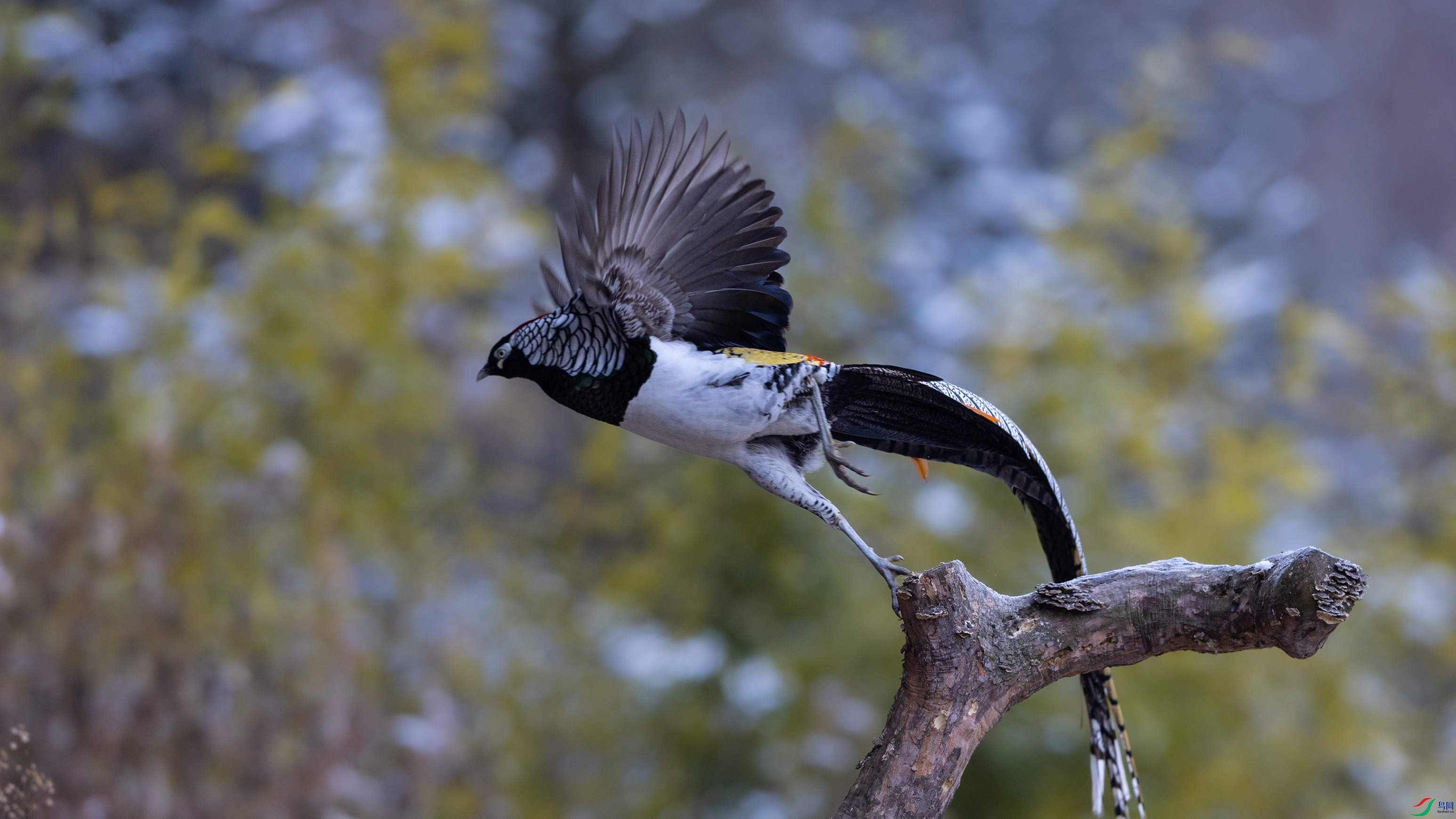 7X5A7821 ����.jpg