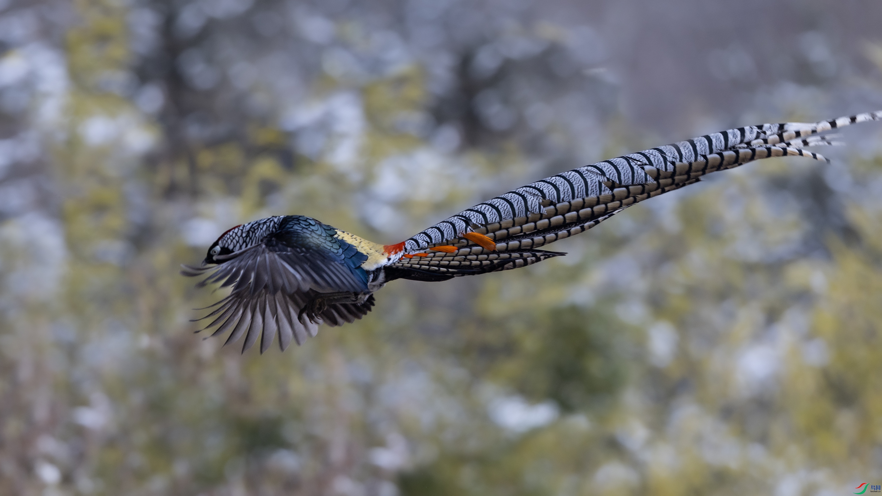 7X5A7823 ����.jpg