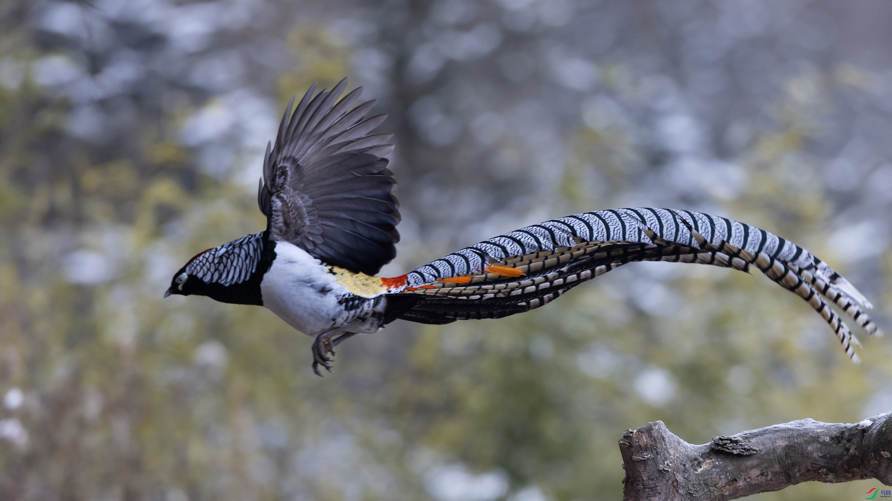 7X5A7822 ����.jpg