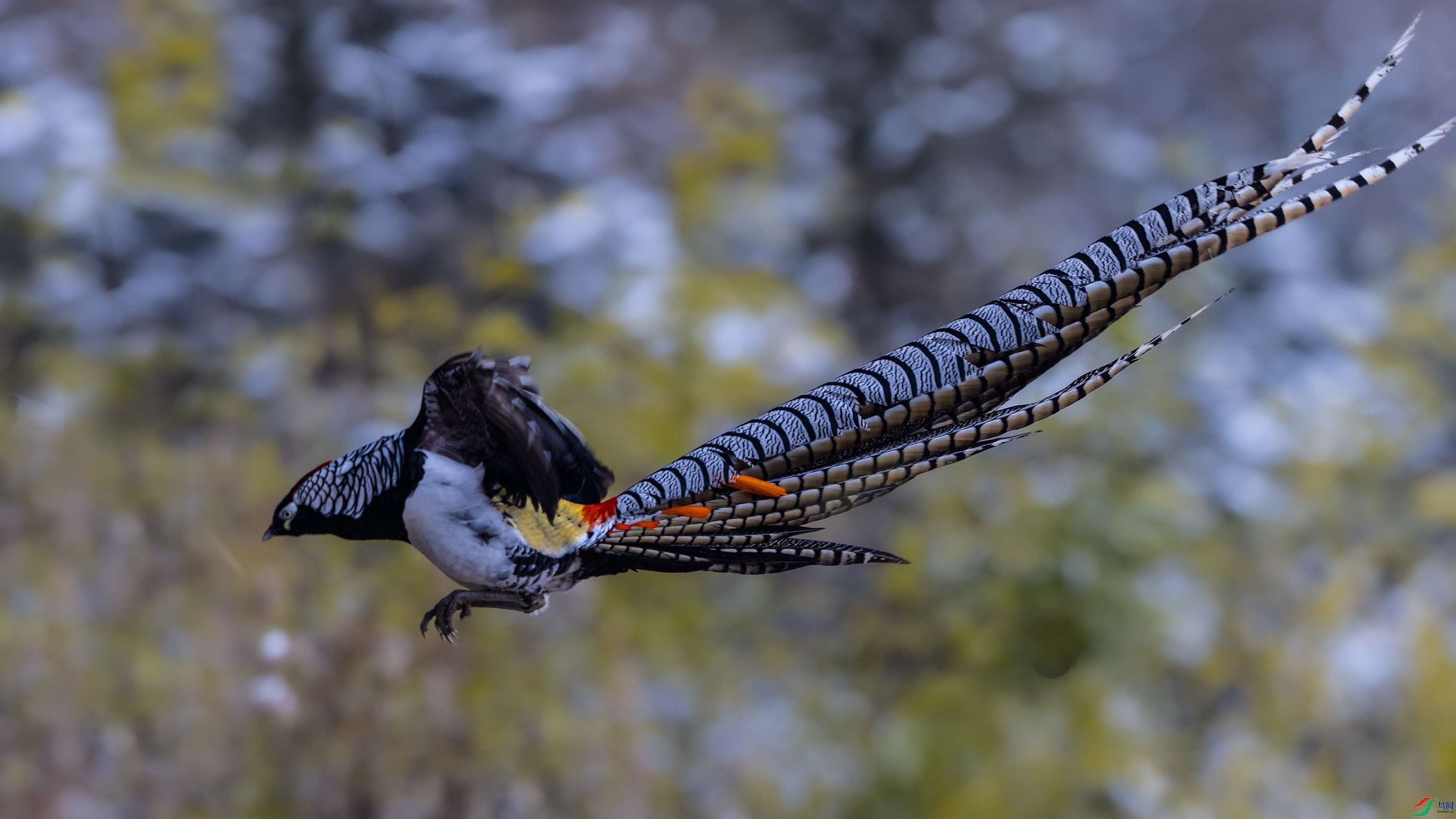 7X5A7824 ����.jpg