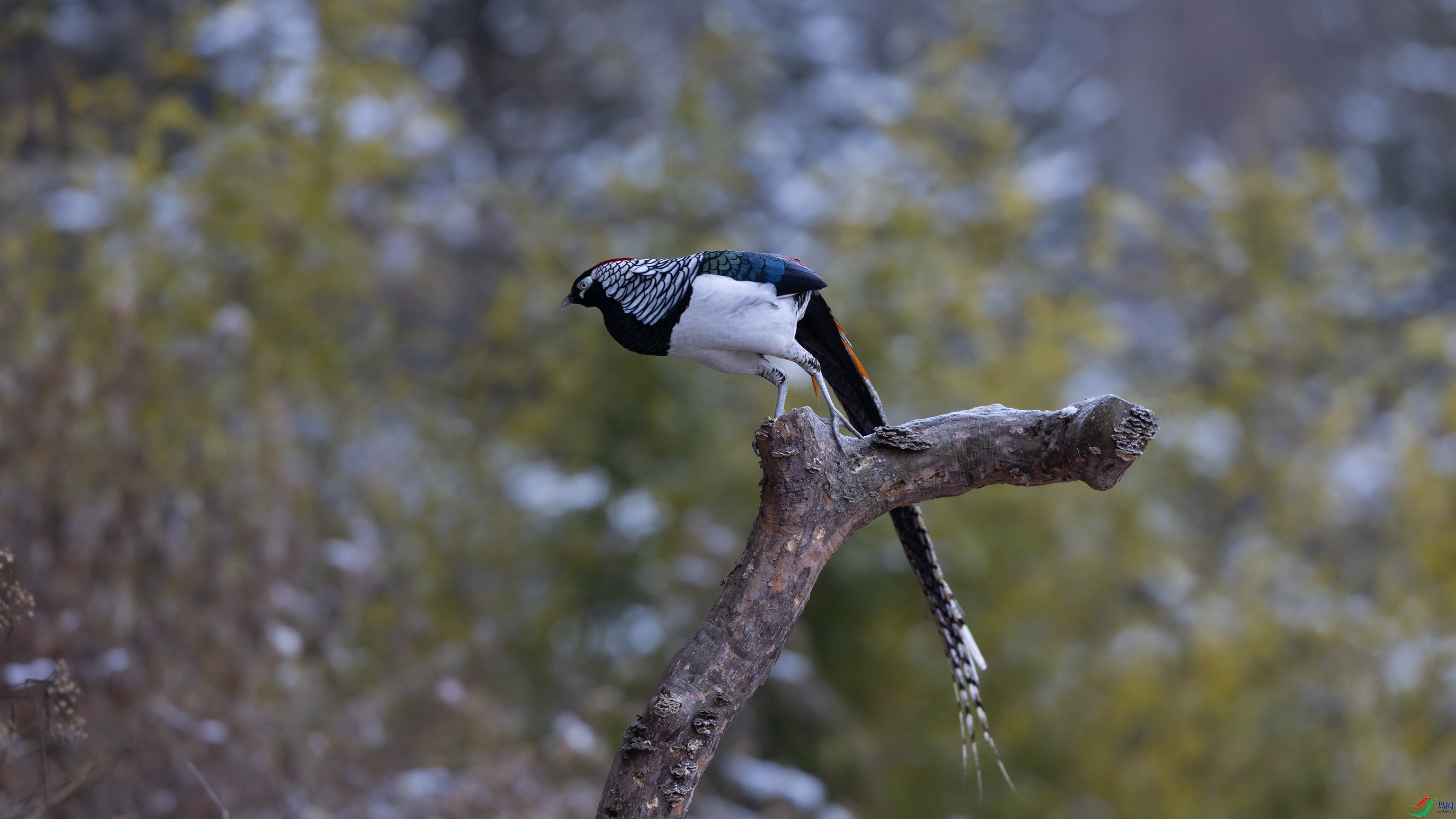 7X5A7819 ����.jpg